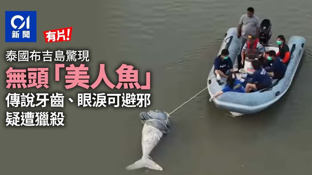 泰國布吉島海岸驚現無頭「美人魚」 疑因牙齒可「辟邪」遭斬首