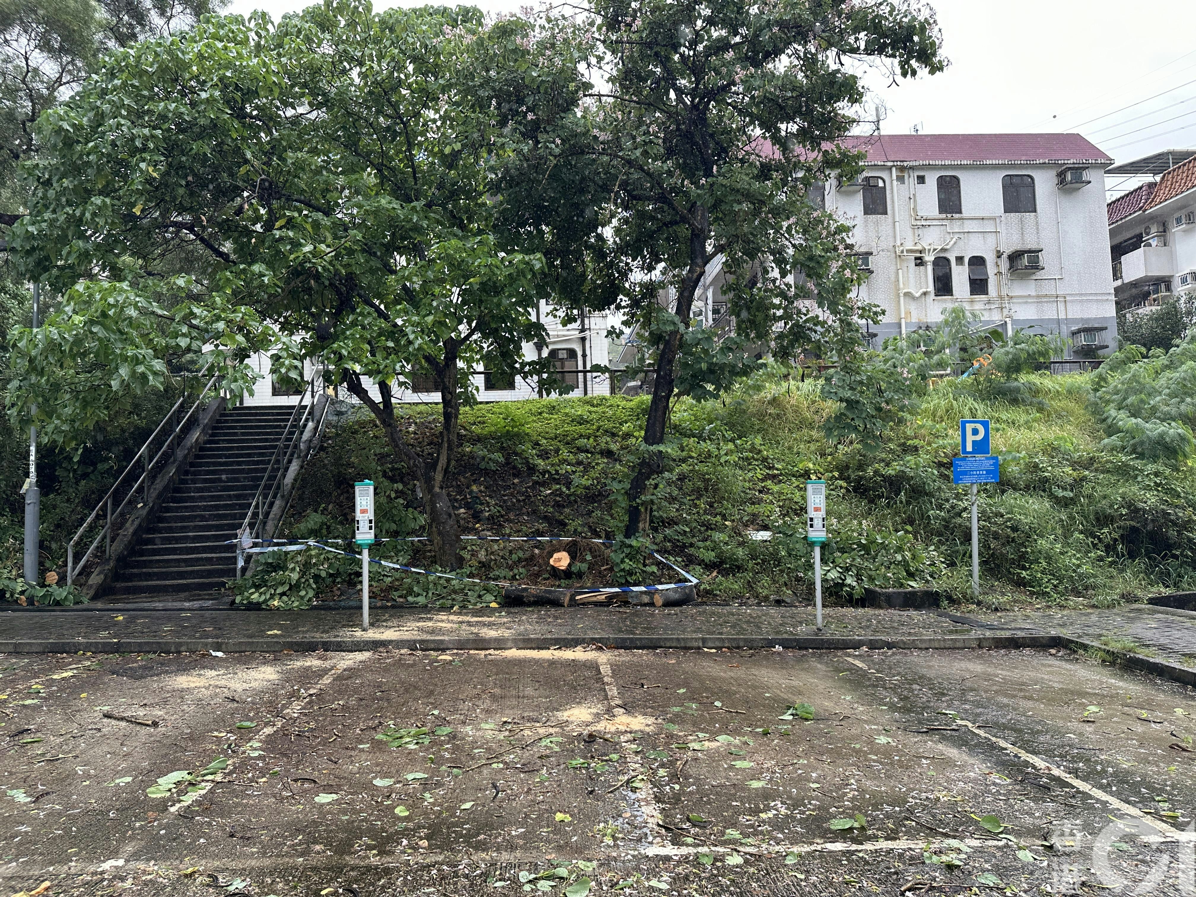 現場為大圍新村路一列咪錶位。（黃學潤攝）