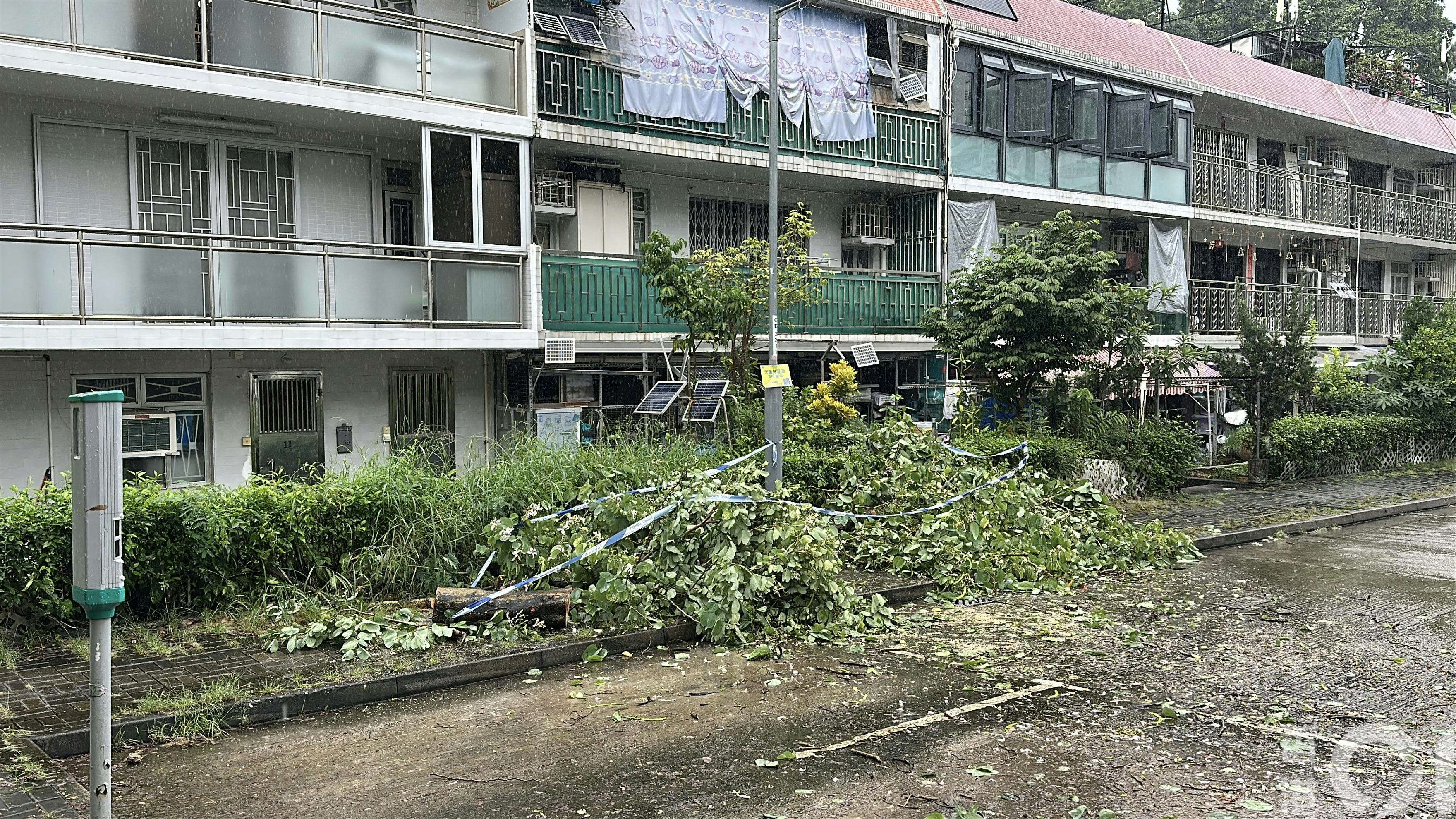 現場為大圍新村路一列咪錶位。（黃學潤攝）