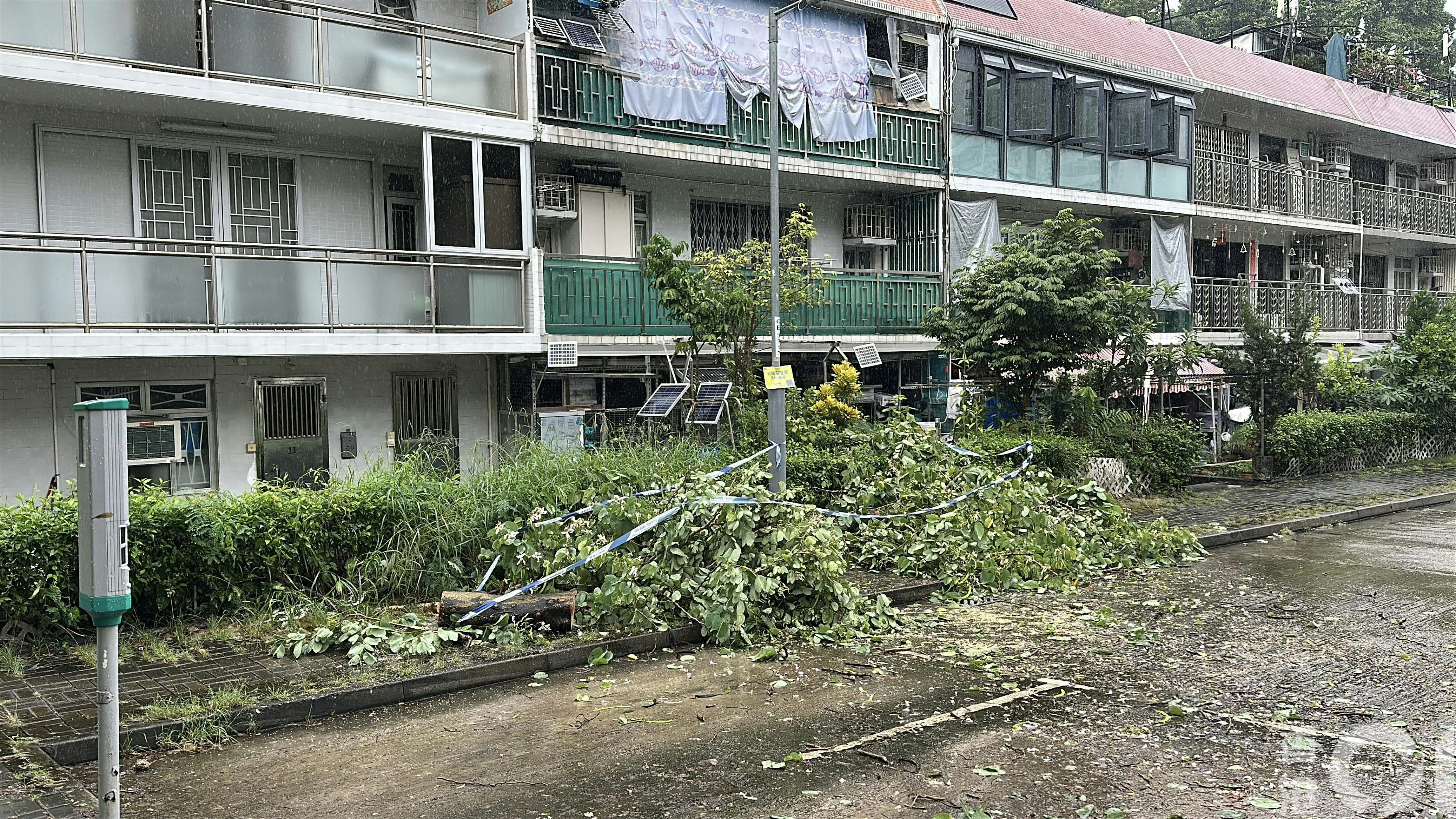 現場為大圍新村路一列咪錶位。（黃學潤攝）