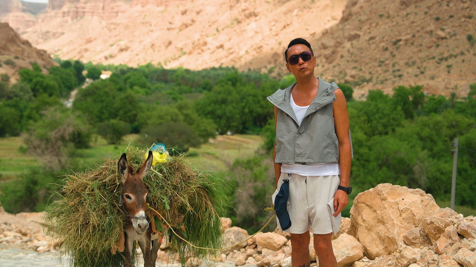 黑哥參觀100米高「岩上城」,試拖騾仔之餘,,仲拜訪少數剩下嘅居民。 黑哥參觀100米高「岩上城」,試拖騾仔之餘,,仲拜訪少數剩下嘅居民。