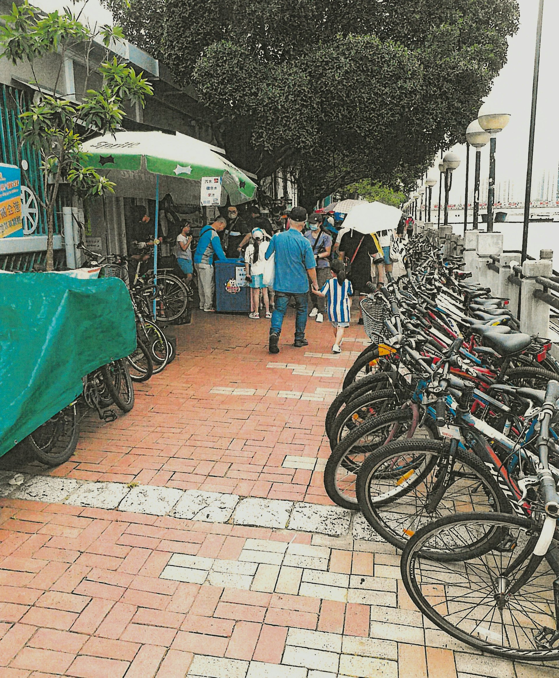 申訴專員陳積志今日(21日)公布有關康樂及文化事務署處理單車租賃服務營辦商的單車阻塞通道問題的主動調查行動報告。(政府新聞處圖片) 申訴專員陳積志今日(21日)公布有關康樂及文化事務署處理單車租賃服務營辦商的單車阻塞通道問題的主動調查行動報告。(政府新聞處圖片)