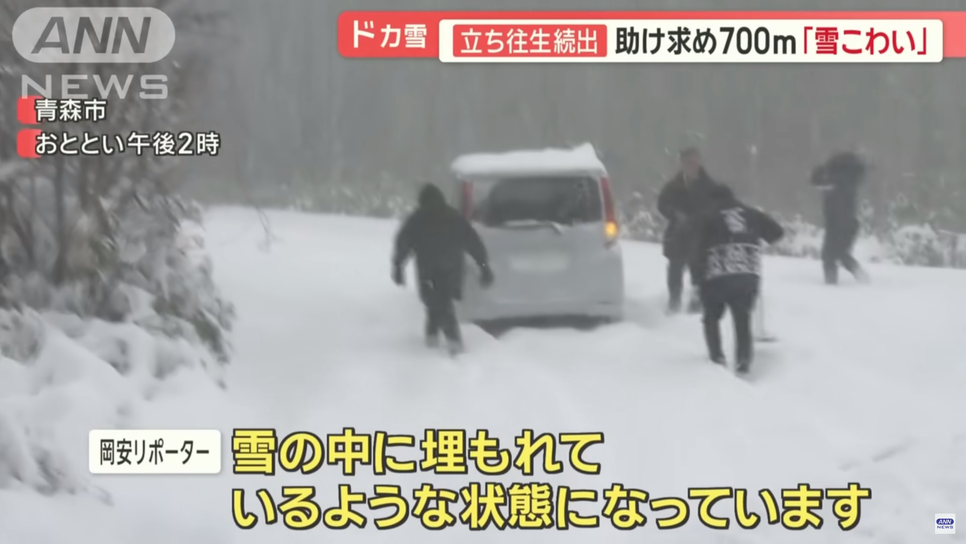 日本電視台採訪隊在青森市一間旅館附近,發現三架私家陷入厚厚的雪中,無法郁動,其中一架屬自駕遊港人旅客。(全日本新聞網 ANN news) 日本電視台採訪隊在青森市一間旅館附近,發現三架私家陷入厚厚的雪中,無法郁動,其中一架屬自駕遊港人旅客。(全日本新聞網 ANN news)