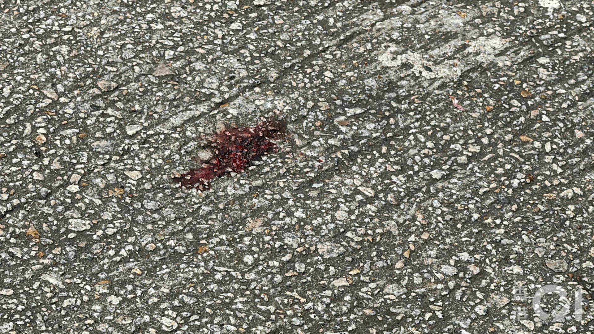 地上遺有一灘血跡。(翁鈺輝攝) 地上遺有一灘血跡。(翁鈺輝攝)