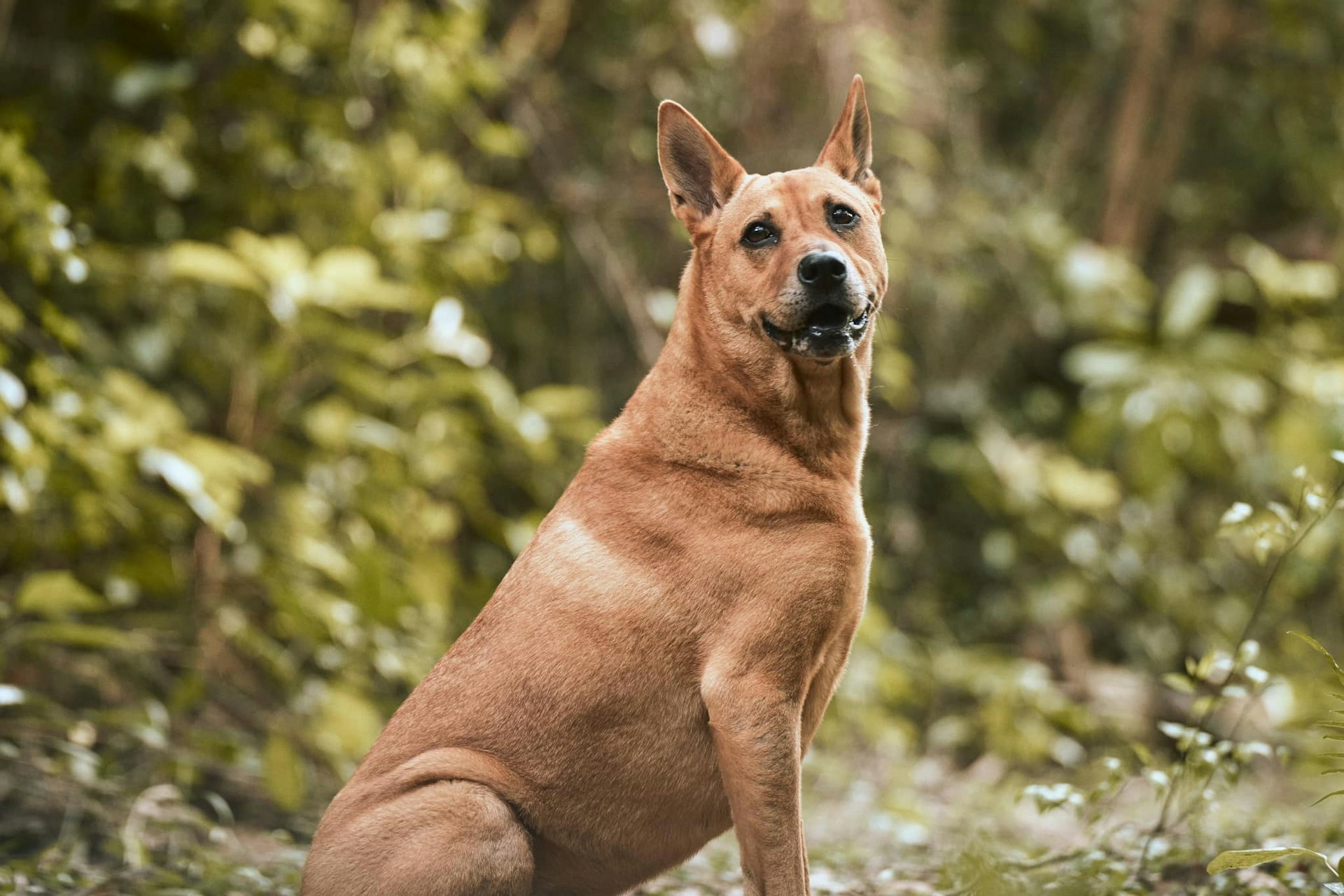 《得寵先生》劇照 《得寵先生》劇照