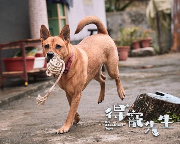 《得寵先生》劇照