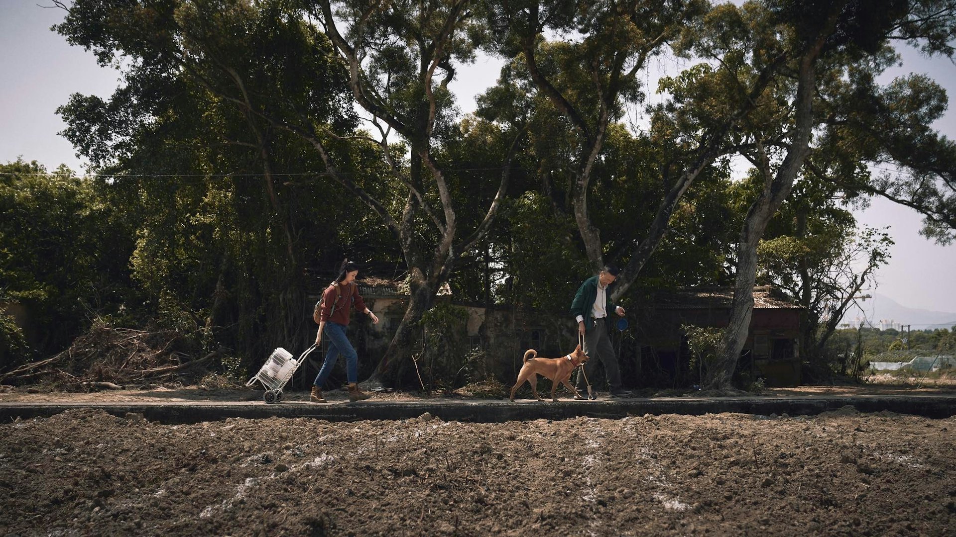 《得寵先生》劇照 《得寵先生》劇照