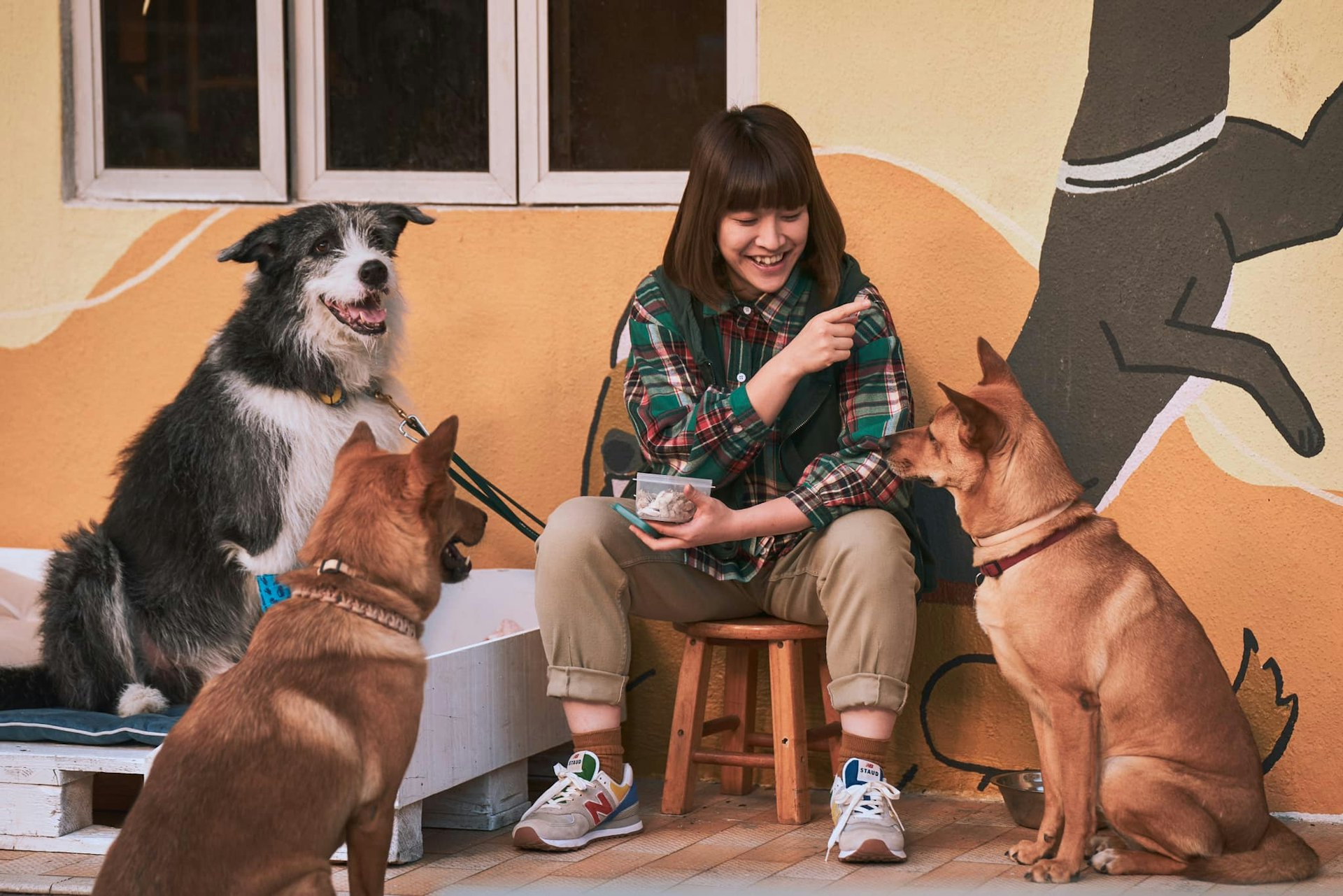 《得寵先生》劇照 《得寵先生》劇照