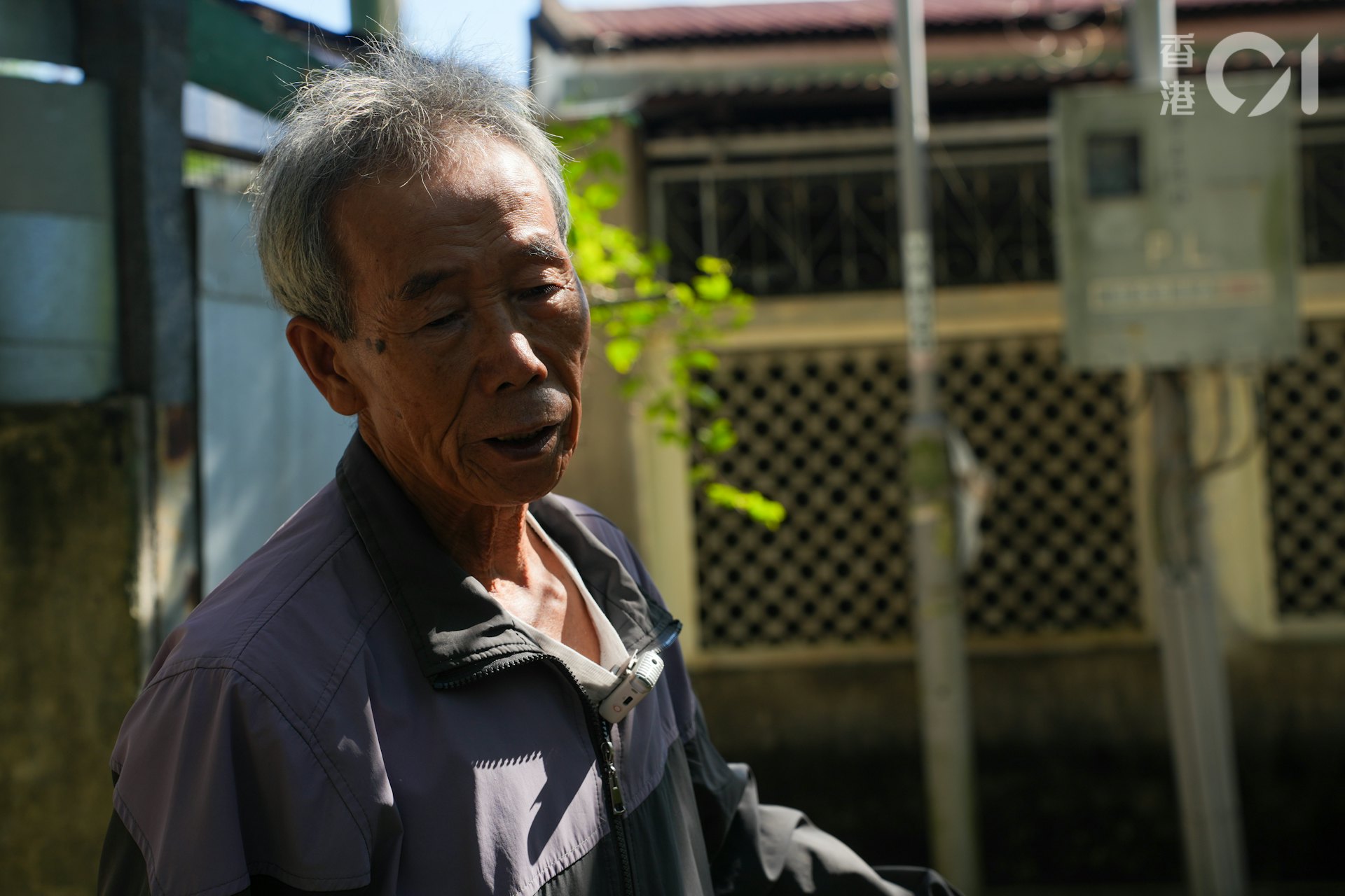 何桂華在石湖新村牧洋近20年。(黃浩謙攝) 何桂華在石湖新村牧洋近20年。(黃浩謙攝)