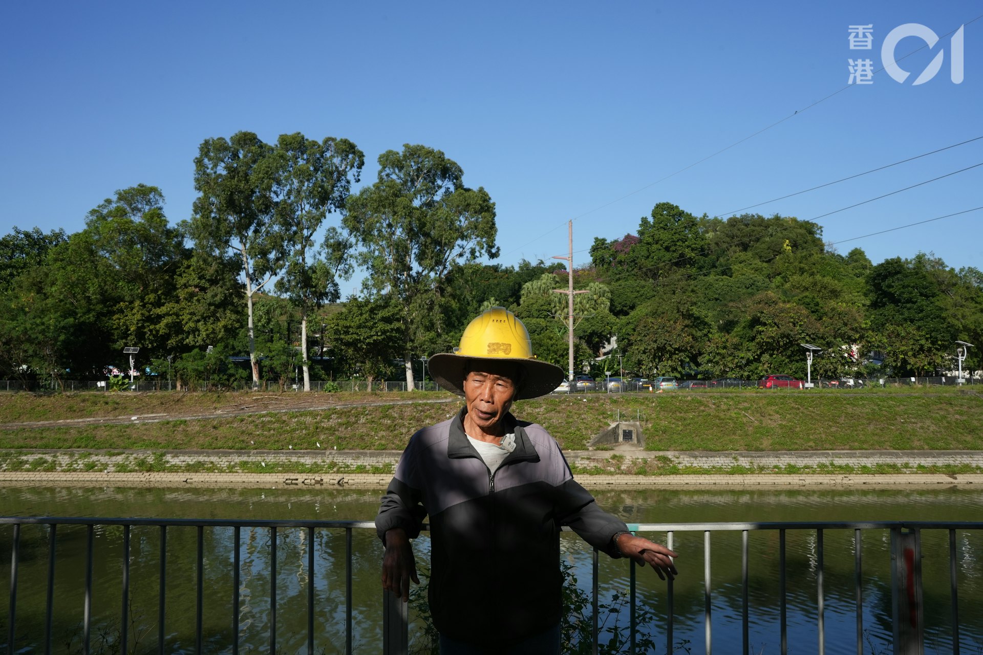 每日下午,何桂華的50多隻羊都會在梧桐河邊食草。(黃浩謙攝) 每日下午,何桂華的50多隻羊都會在梧桐河邊食草。(黃浩謙攝)