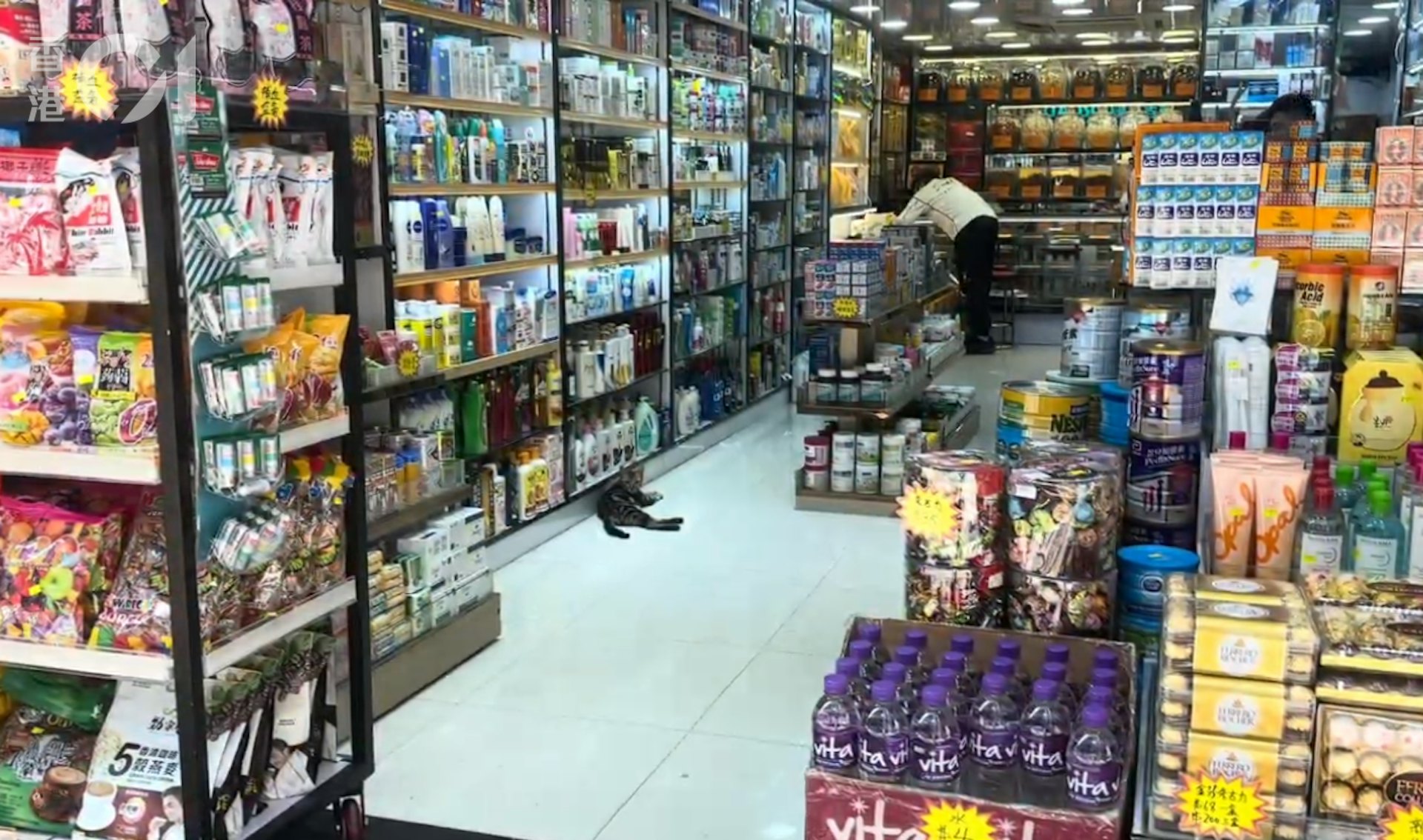 記者今日(27日)早上10時多到旺角不同藥房視察,未見有人搶購衛生巾,不少藥房貨架上仍堆滿了衛生巾。(吳美松攝) 記者今日(27日)早上10時多到旺角不同藥房視察,未見有人搶購衛生巾,不少藥房貨架上仍堆滿了衛生巾。(吳美松攝)