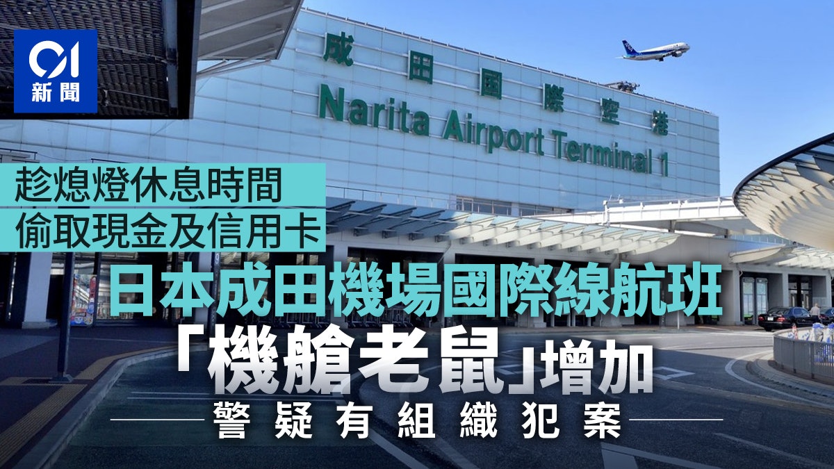 日本成田機場國際線航班「機艙老鼠」增加 疑有組織犯案 日本成田機場國際線航班「機艙老鼠」增加 疑有組織犯案