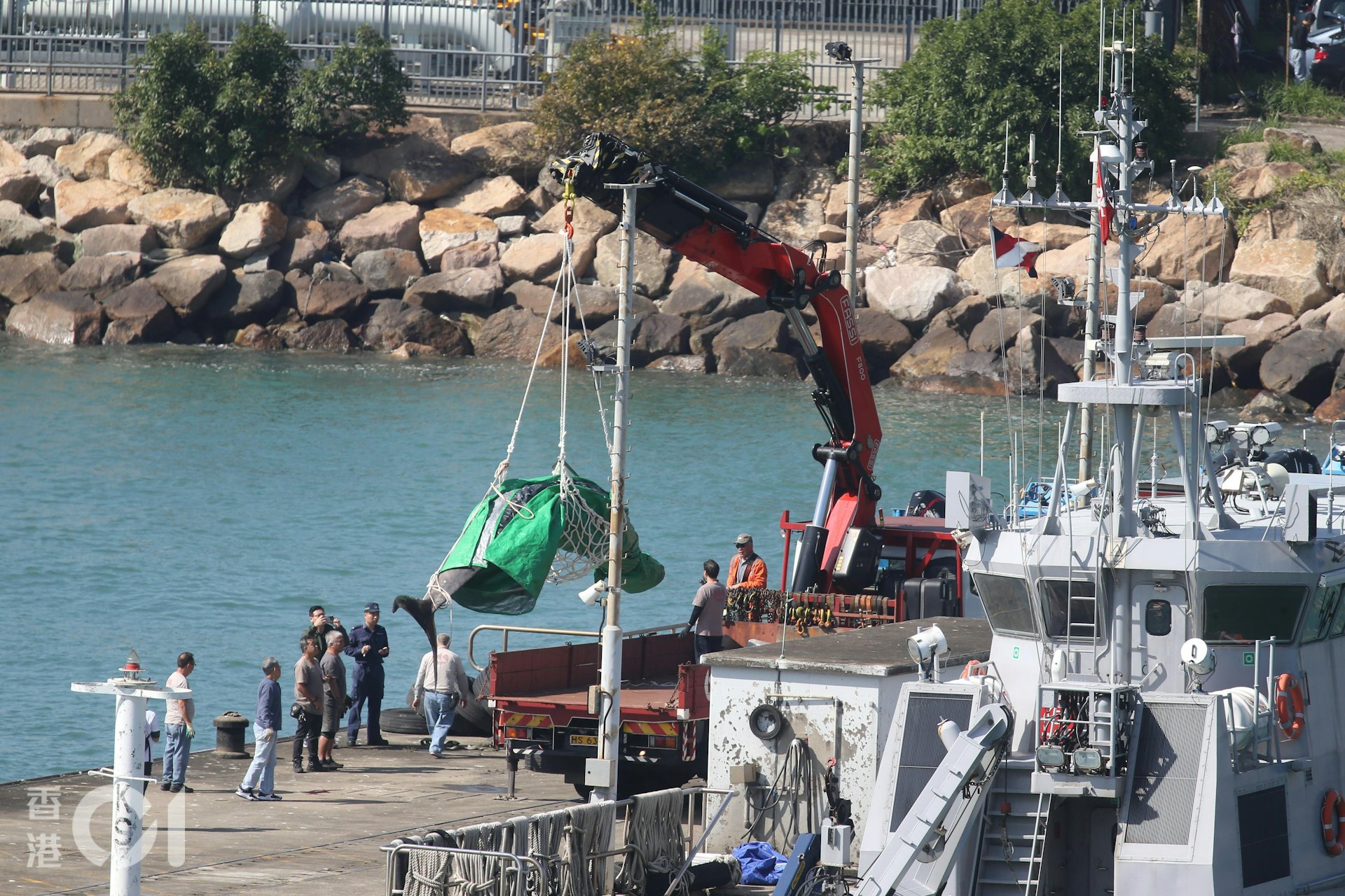 工人先將鯨屍置於綠色帆布,再纏上繩網,吊臂車將屍體運走。(蔡正邦攝) 工人先將鯨屍置於綠色帆布,再纏上繩網,吊臂車將屍體運走。(蔡正邦攝)