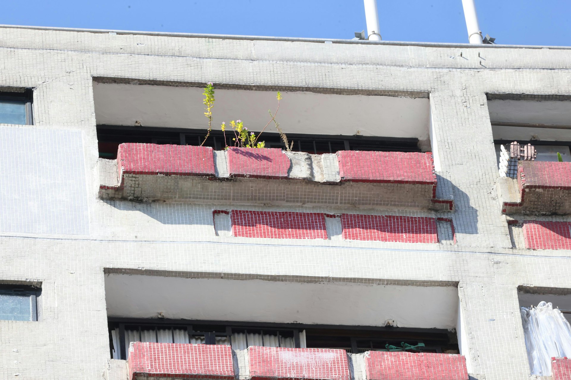 現場消息指,家廉樓16樓外牆有石屎剝落釀成意外。 現場消息指,家廉樓16樓外牆有石屎剝落釀成意外。