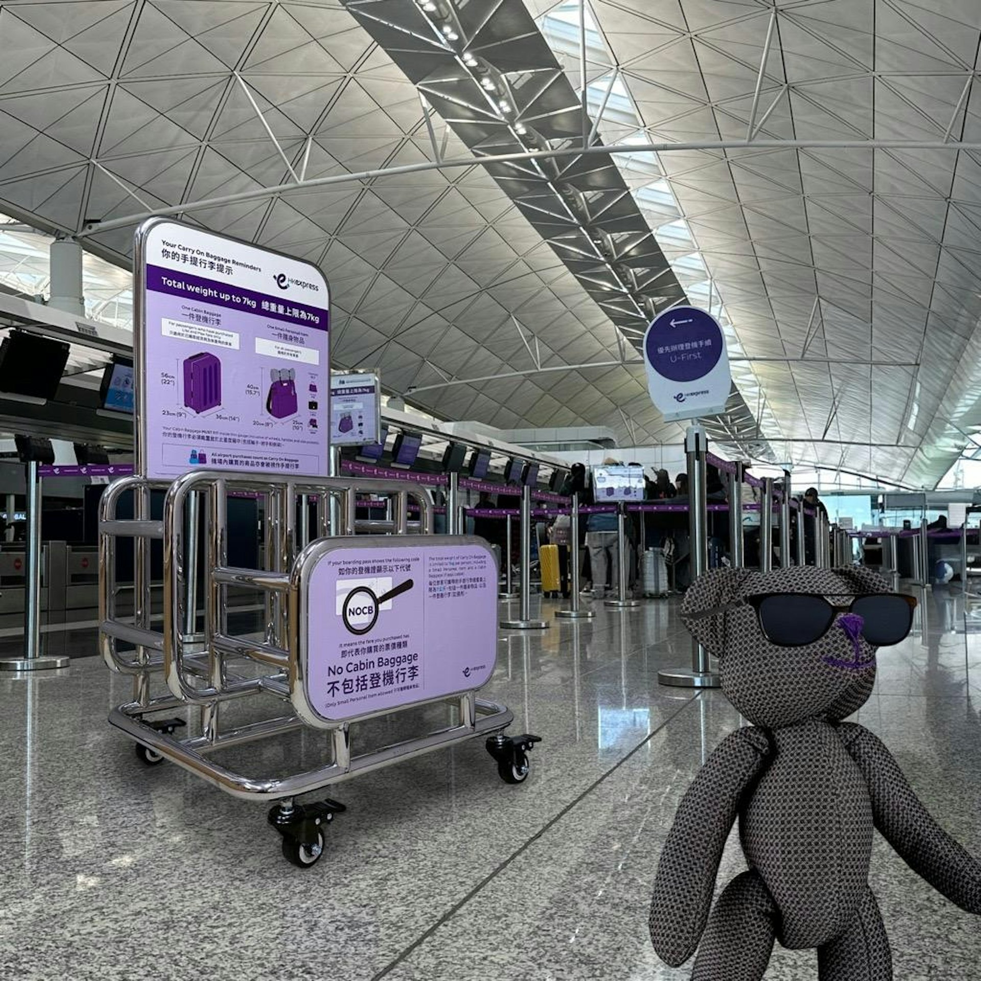 香港快運今日宣布,即日(12 日)會使用全新行李尺寸量度架,助乘客更輕易快捷地放入及取出手提行李。(香港快運提供) 香港快運今日宣布,即日(12 日)會使用全新行李尺寸量度架,助乘客更輕易快捷地放入及取出手提行李。(香港快運提供)