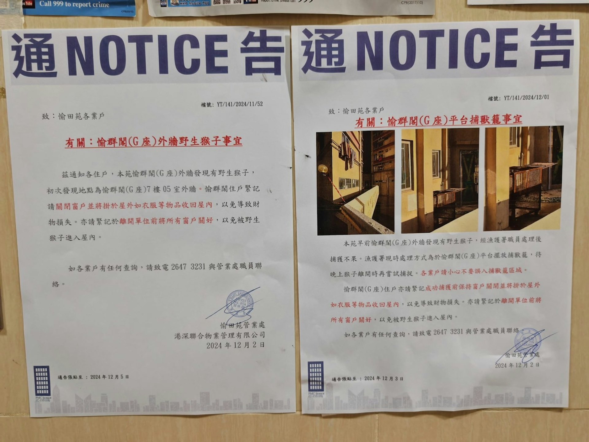 沙田愉田苑有猴子出沒,管業處張貼通知,提醒住戶關閉窗戶。(讀者提供圖片) 沙田愉田苑有猴子出沒,管業處張貼通知,提醒住戶關閉窗戶。(讀者提供圖片)