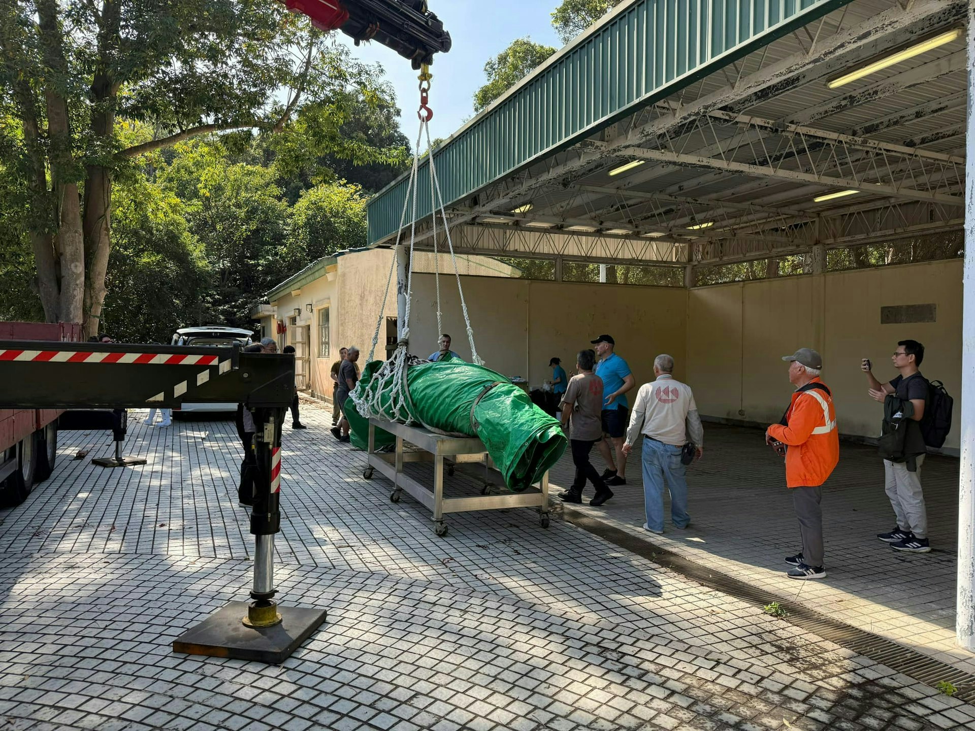 漁護署12月1日已將該鯨魚屍體,送往漁護署海岸公園石壁管理站解剖。獸醫在鯨魚身上發現一些表面傷痕,亦發現鯨魚的消化系統內有一個大型帆布袋,尺寸約88厘米乘52厘米,現正確認品種及分析死因。( 漁農自然護理署 facebook) 漁護署12月1日已將該鯨魚屍體,送往漁護署海岸公園石壁管理站解剖。獸醫在鯨魚身上發現一些表面傷痕,亦發現鯨魚的消化系統內有一個大型帆布袋,尺寸約88厘米乘52厘米,現正確認品種及分析死因。( 漁農自然護理署 facebook)