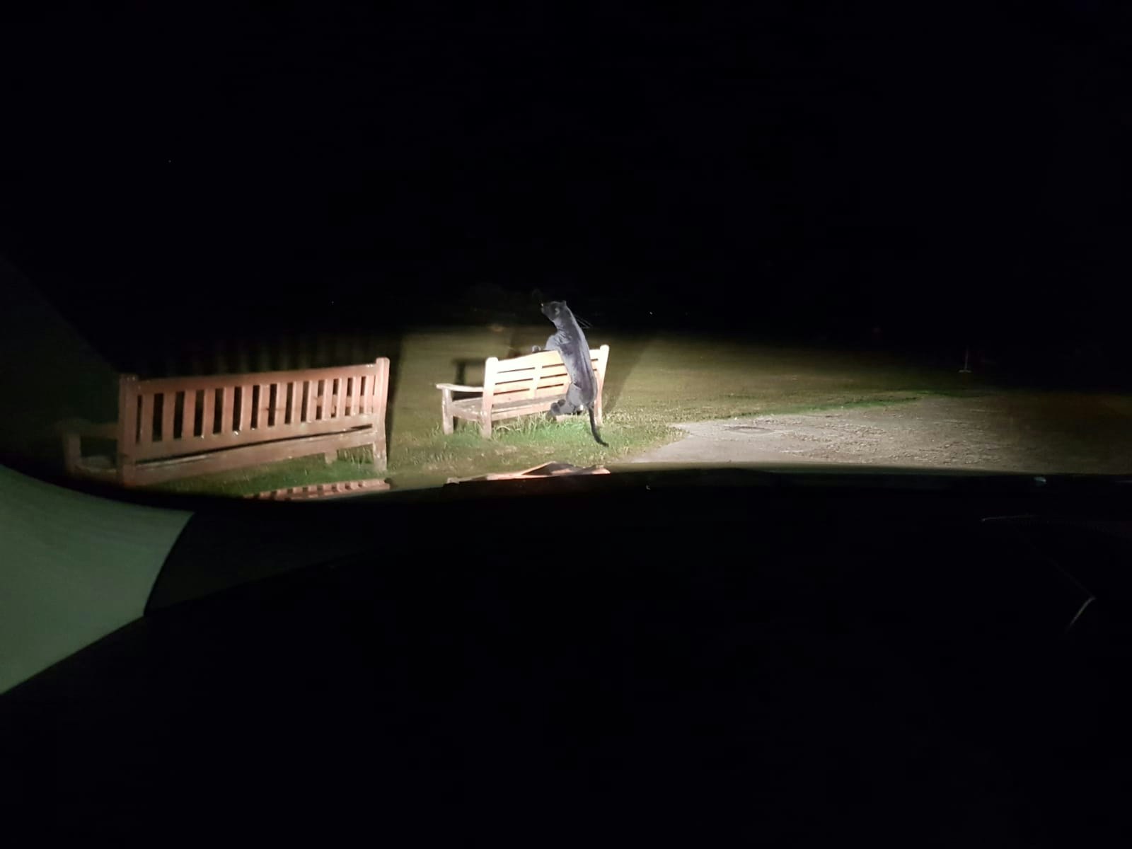 Ӣ񱊈f@Lһb󵽲؈ǺڱsFŰlFǾһbMıޣ̓@һX@Horsham_police