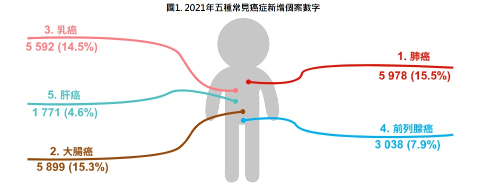 肺癌是香港最常見和致命的癌症，為頭號癌症殺手。（衛生署網站）