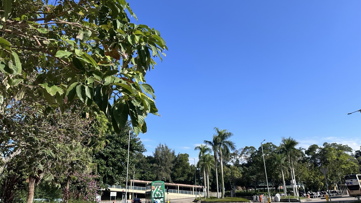 天氣過山車|3區每日氣溫高低相差14度 未來9日「升降再升降」 天氣過山車|3區每日氣溫高低相差14度 未來9日「升降再升降」