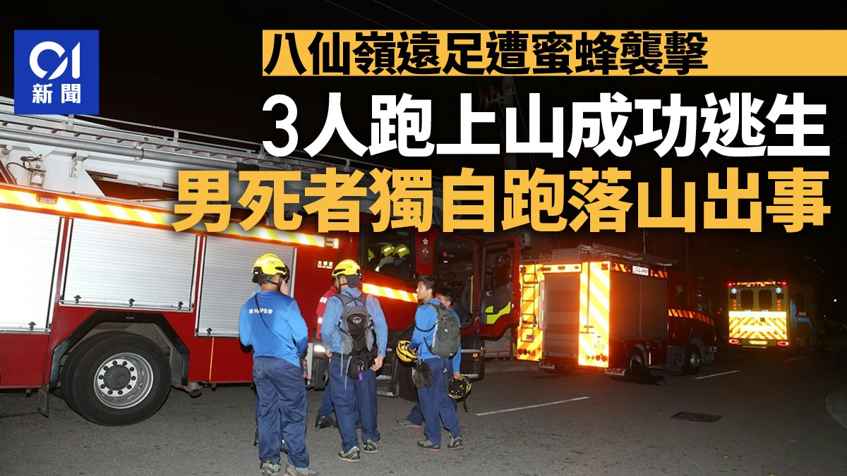 八仙嶺蜜蜂螫｜3人跑上山檢回一命　男死者獨自跑落山魂斷