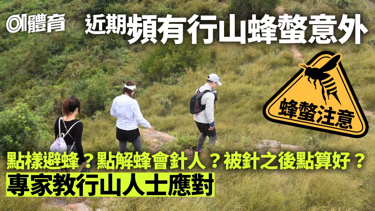 行山遭蜂螫怎樣處理?會否致命?山藝教練:遇蜂群宜保護頭頸部位 行山遭蜂螫怎樣處理?會否致命?山藝教練:遇蜂群宜保護頭頸部位