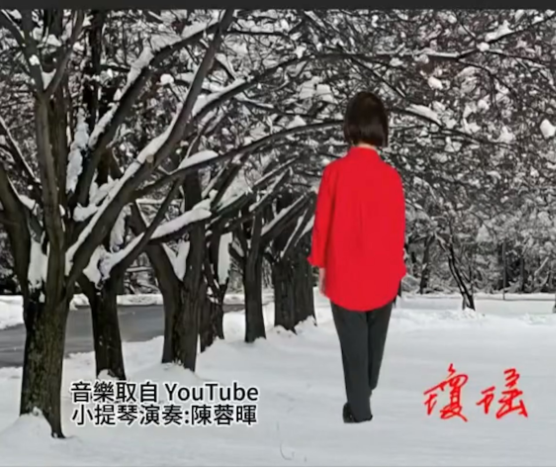 瓊瑤12月4日逝世,生前曾創作多部膾炙人口的作品。(瓊瑤生前最後影片《當雪花飄落》) 瓊瑤12月4日逝世,生前曾創作多部膾炙人口的作品。(瓊瑤生前最後影片《當雪花飄落》)