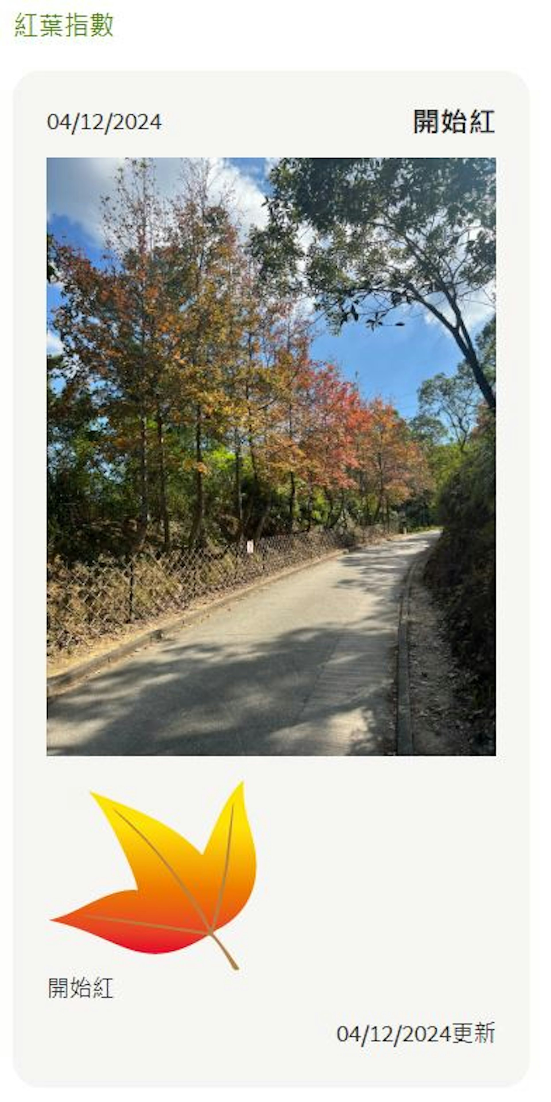 紅葉指數為「開始紅」。(網上截圖) 紅葉指數為「開始紅」。(網上截圖)