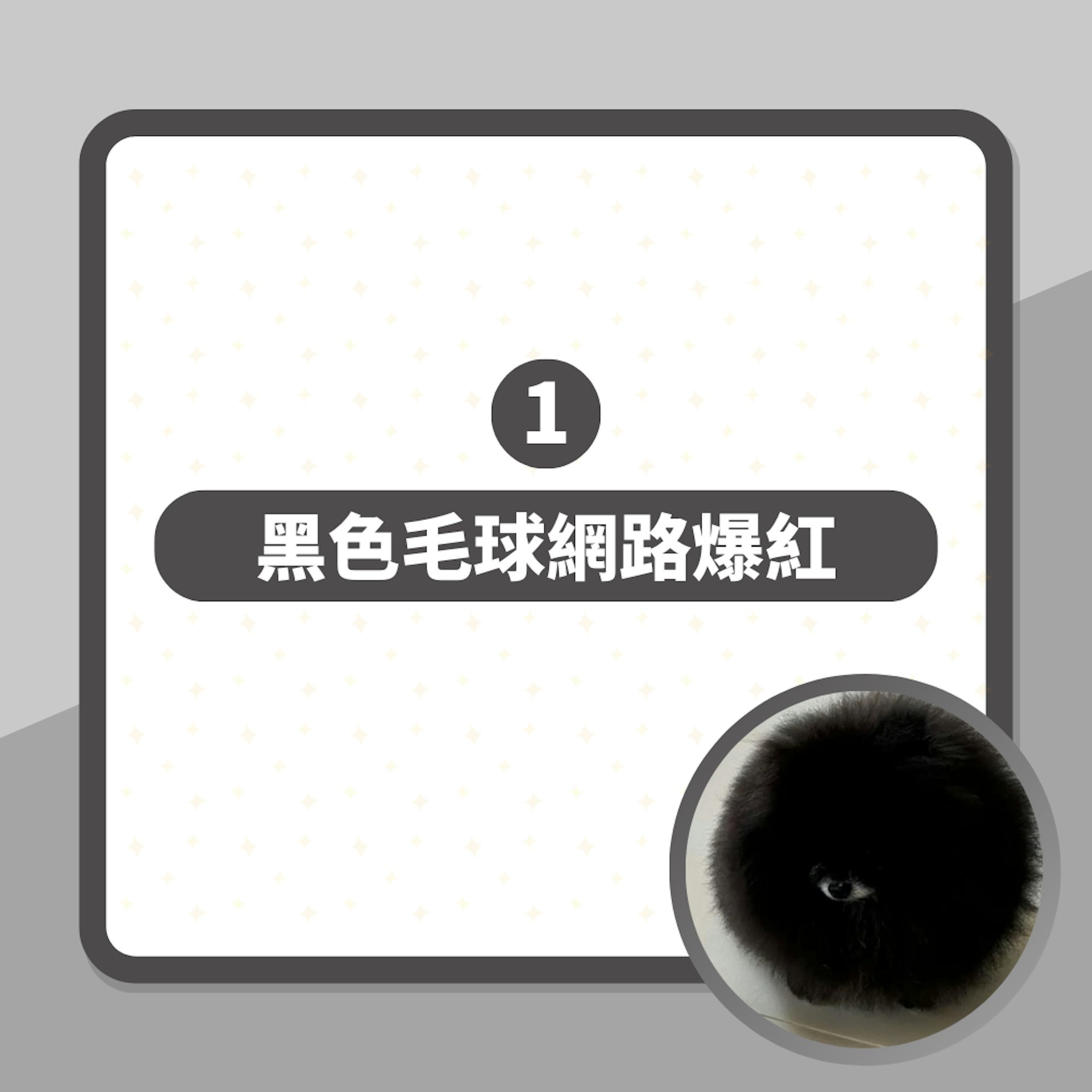 這個「黑色波」到底是什麼?一張可愛動物相網絡瘋傳 真身竟是牠(01製圖/threads@ohgoodjobanan) 這個「黑色波」到底是什麼?一張可愛動物相網絡瘋傳 真身竟是牠(01製圖/threads@ohgoodjobanan)