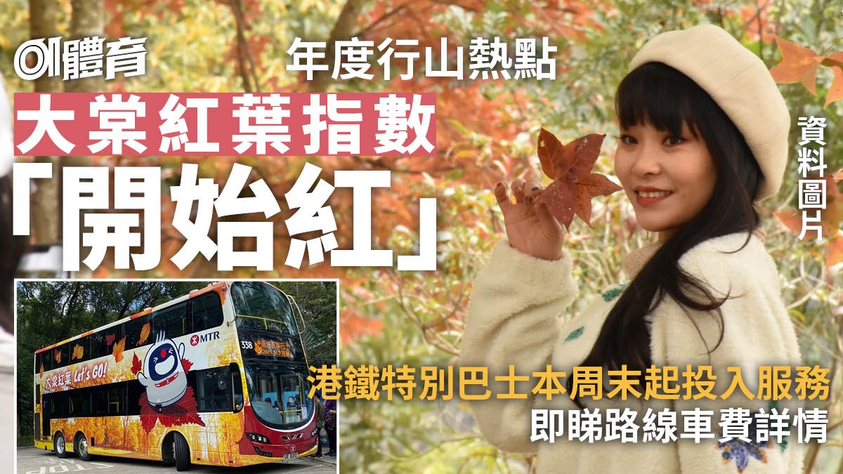 大棠紅葉2024|紅葉指數為「開始紅」 港鐵特別巴士K66A投入服務 大棠紅葉2024|紅葉指數為「開始紅」 港鐵特別巴士K66A投入服務