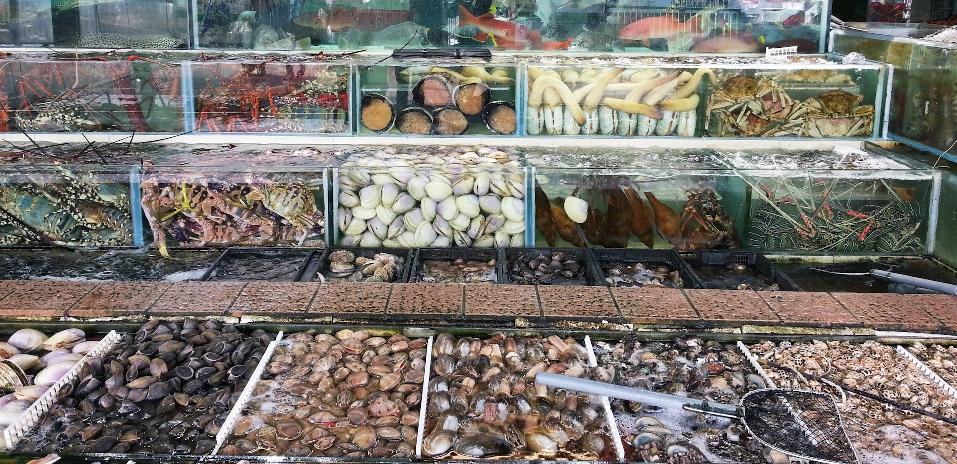 有網民認為收海鮮加工費屬合理，「就算門口的海鮮，都一樣會收加工費，我去鯉魚門或者西貢食海鮮都一樣做法」。（示意圖／gettyimages）