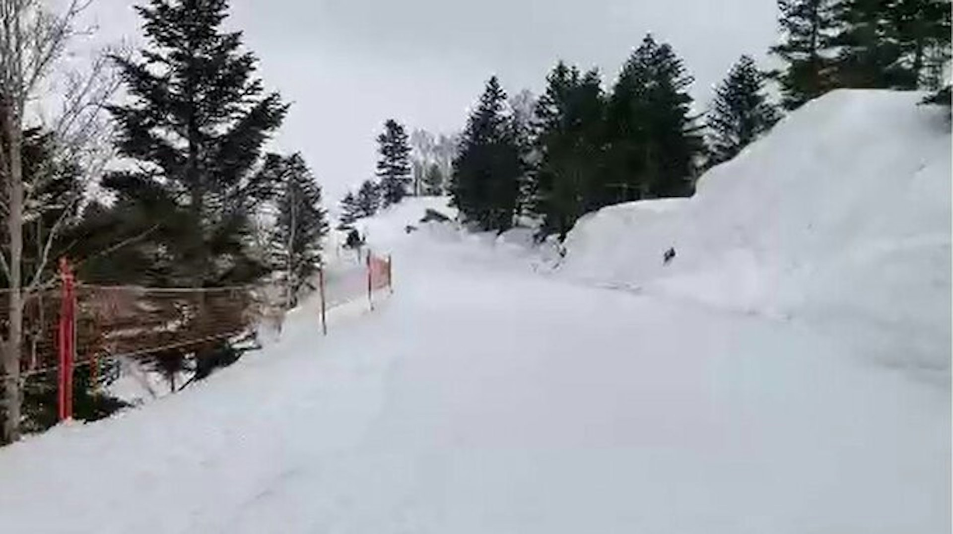 日本長野縣志賀高原的燒額山滑雪場其中一段滑雪道。(網上圖片) 日本長野縣志賀高原的燒額山滑雪場其中一段滑雪道。(網上圖片)