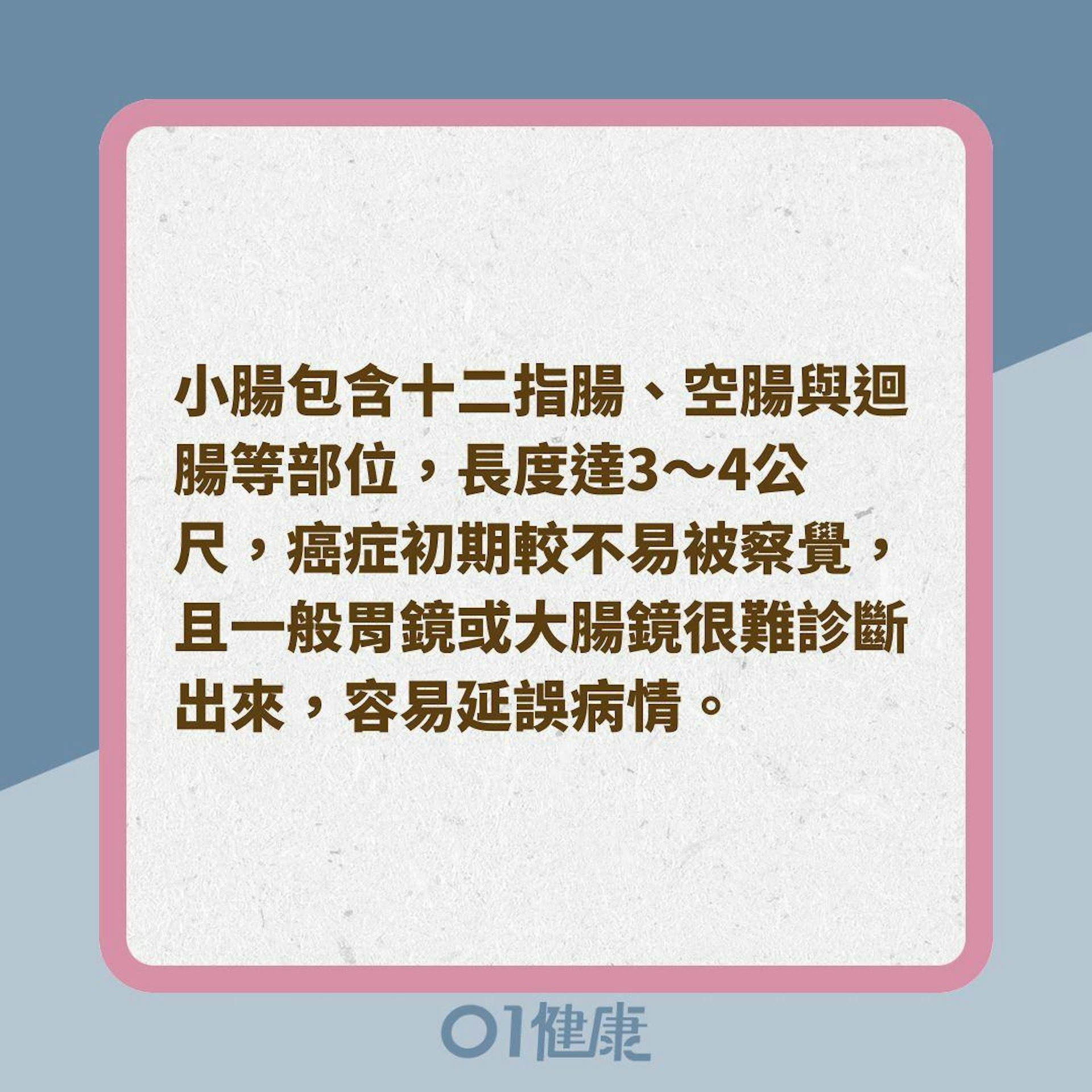 小腸癌常見明顯症狀(01製圖) 小腸癌常見明顯症狀(01製圖)