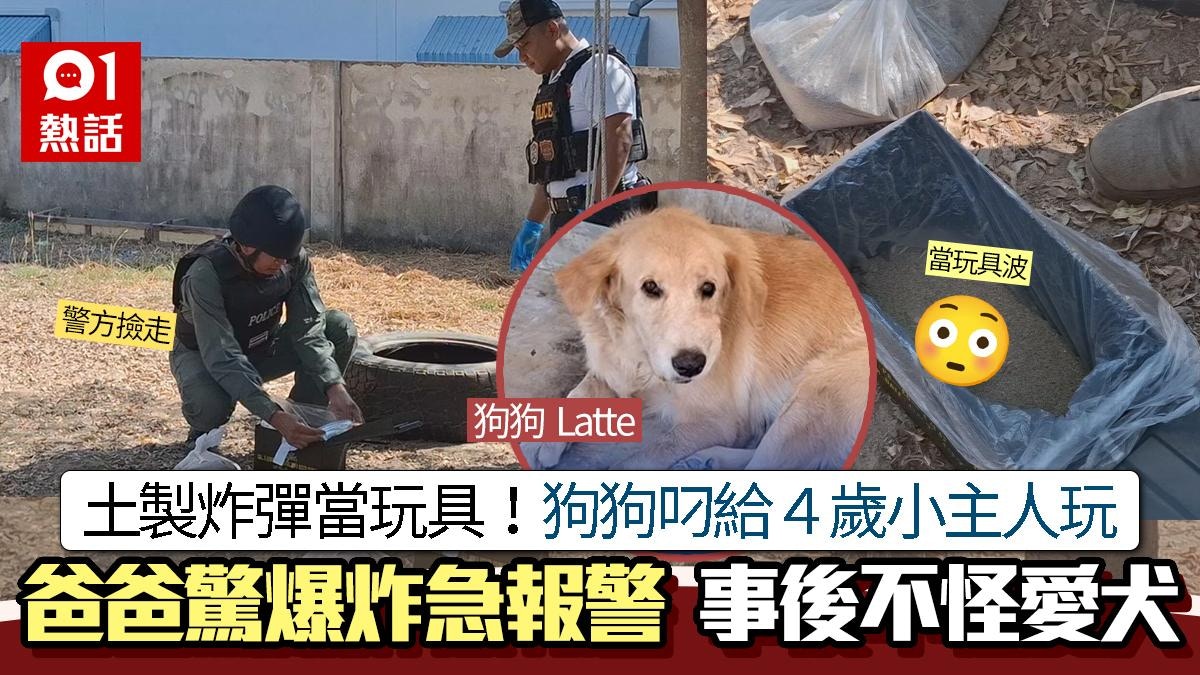土製炸彈當玩具！狗狗叼給4歲小主人嚇壞爸爸　爆炸物處理組出動