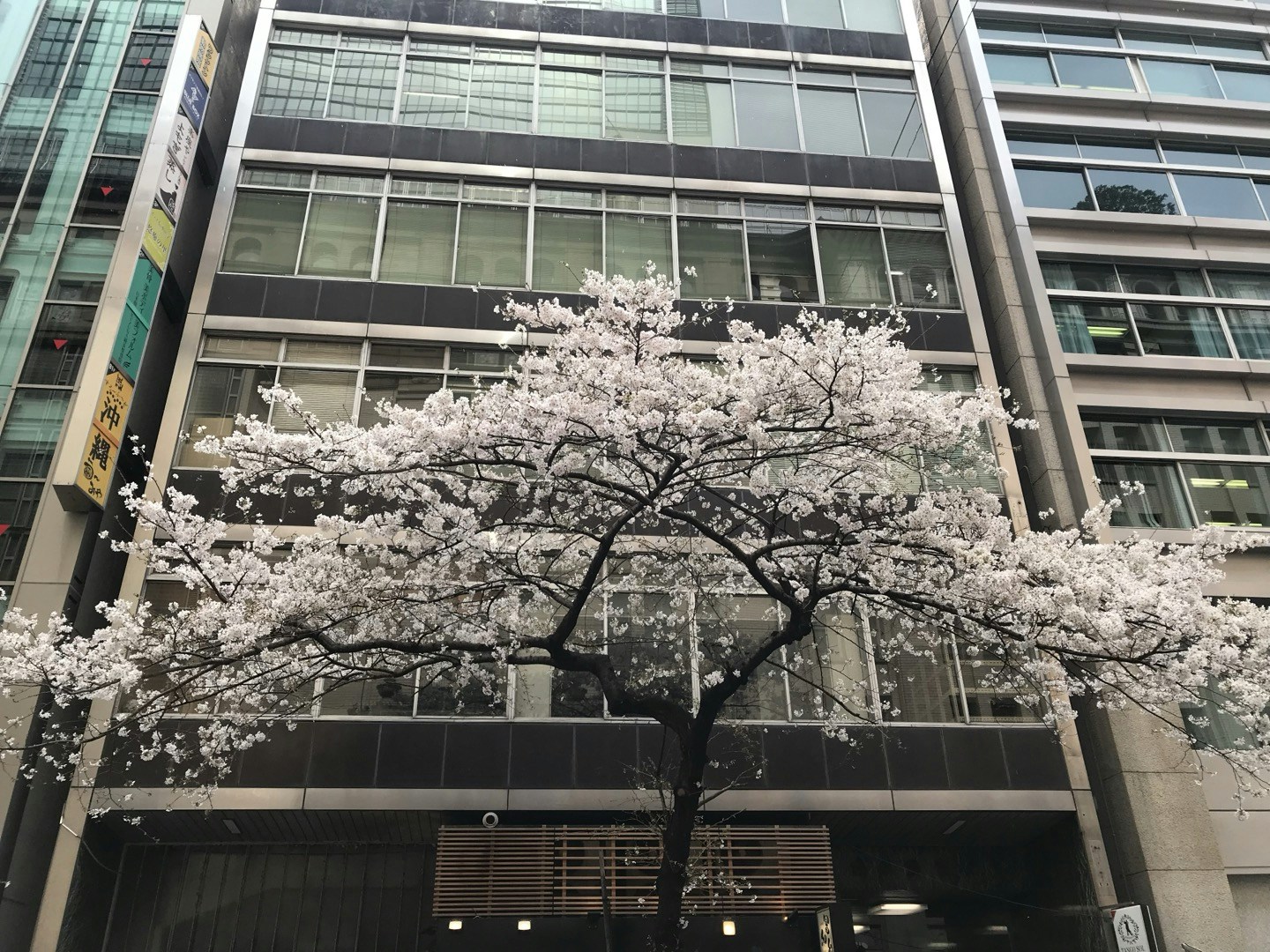去年港人訪日人次達約268萬。（資料圖片)