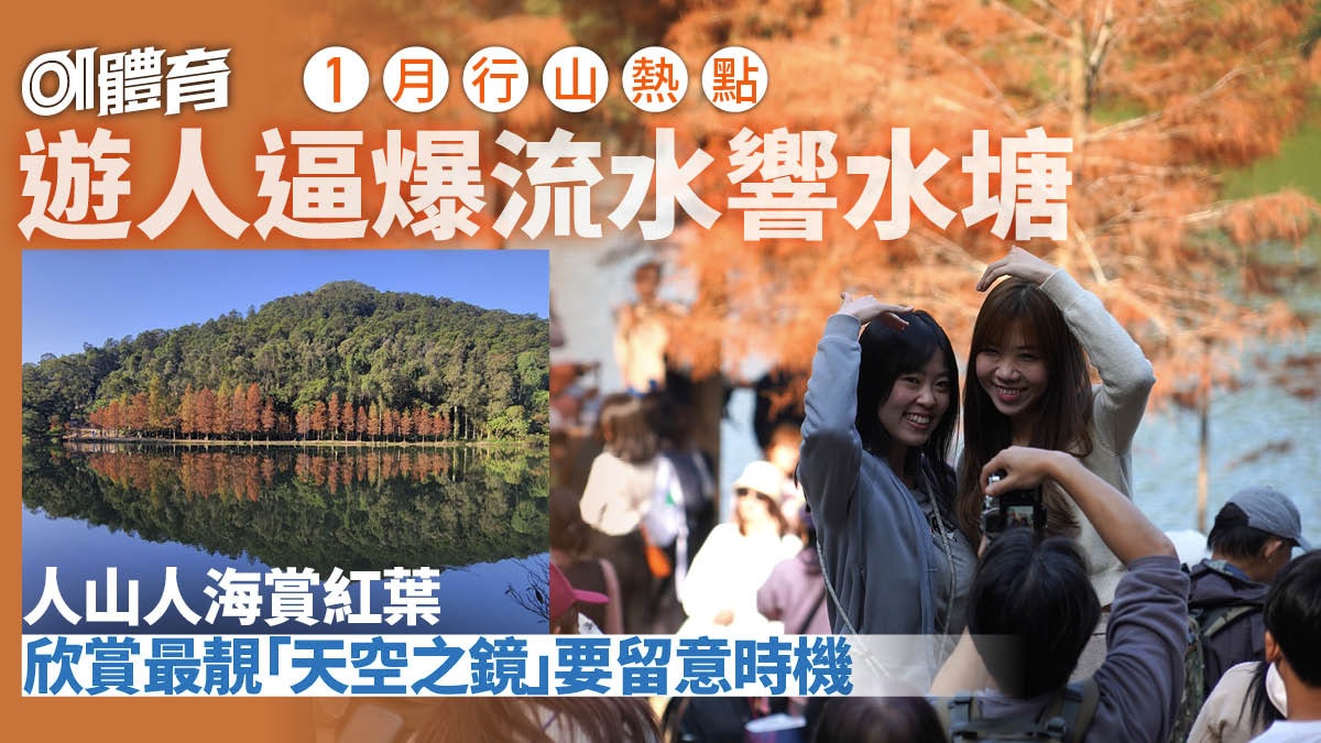 行山熱點流水響水塘|落羽杉變紅吸引山友 晨早欣賞最美天空之鏡 行山熱點流水響水塘|落羽杉變紅吸引山友 晨早欣賞最美天空之鏡