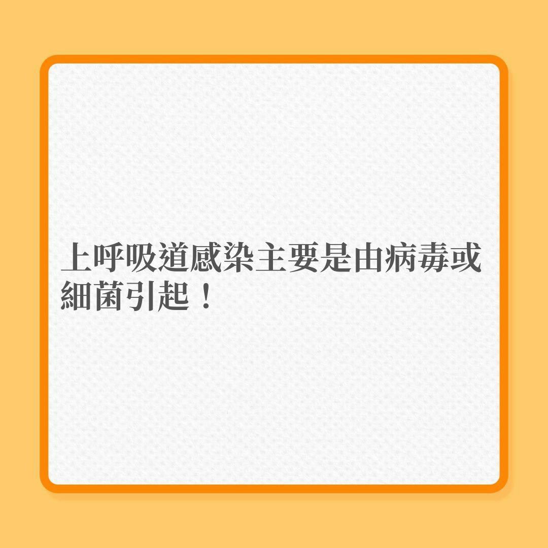 上呼吸道感染、流行性感冒、新冠肺炎｜呼吸道融合病毒6大迷思！（01製圖）