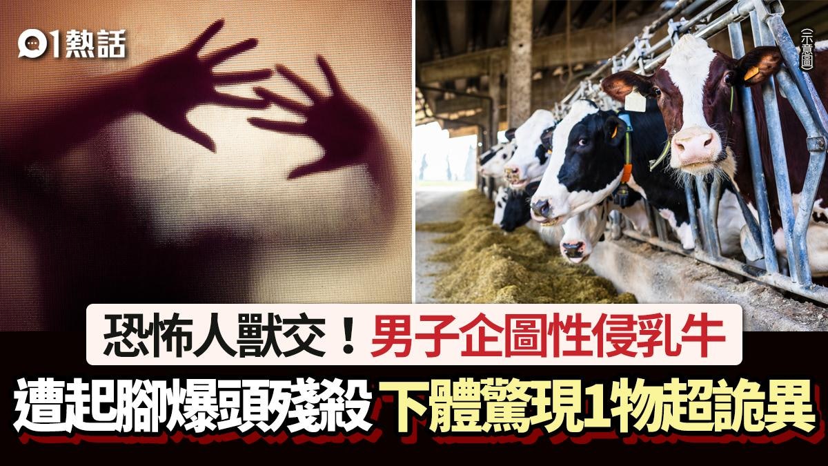 恐怖人獸交!男子性侵乳牛 遭一腳爆頭斃命 下體驚現1物超詭異 恐怖人獸交!男子性侵乳牛 遭一腳爆頭斃命 下體驚現1物超詭異