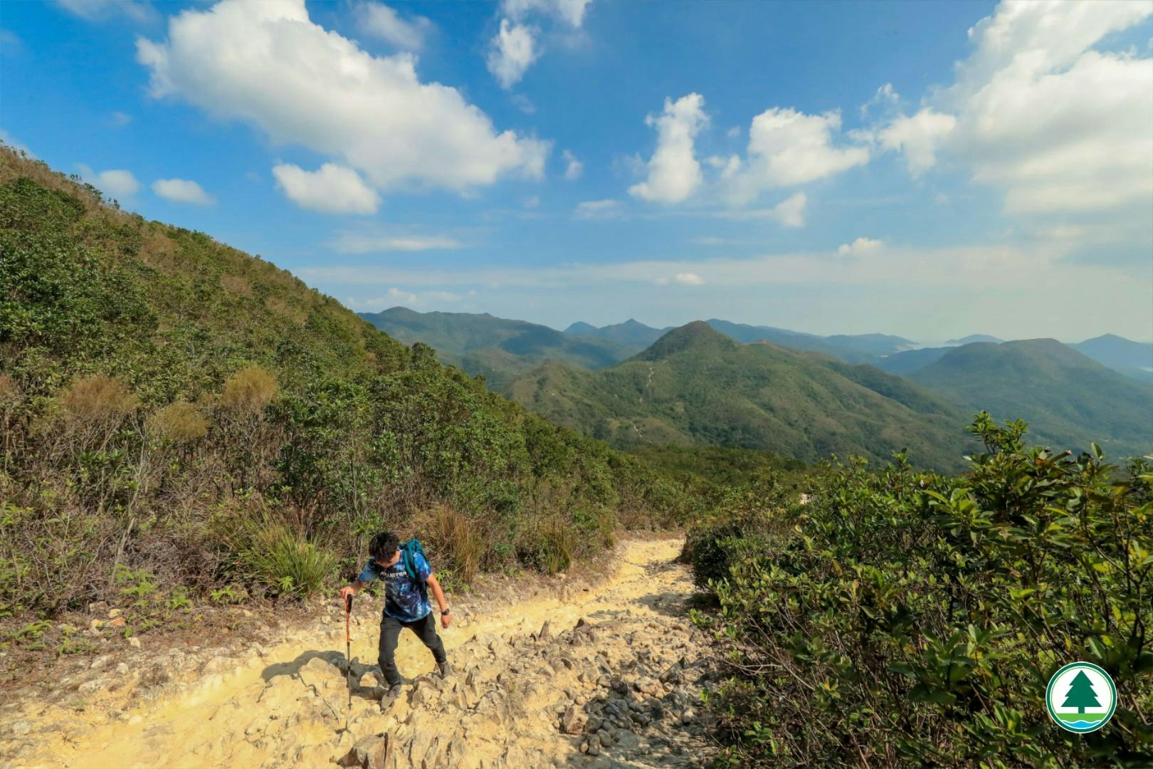 眺望西貢東群山（漁護署「郊野樂行」網站圖片）