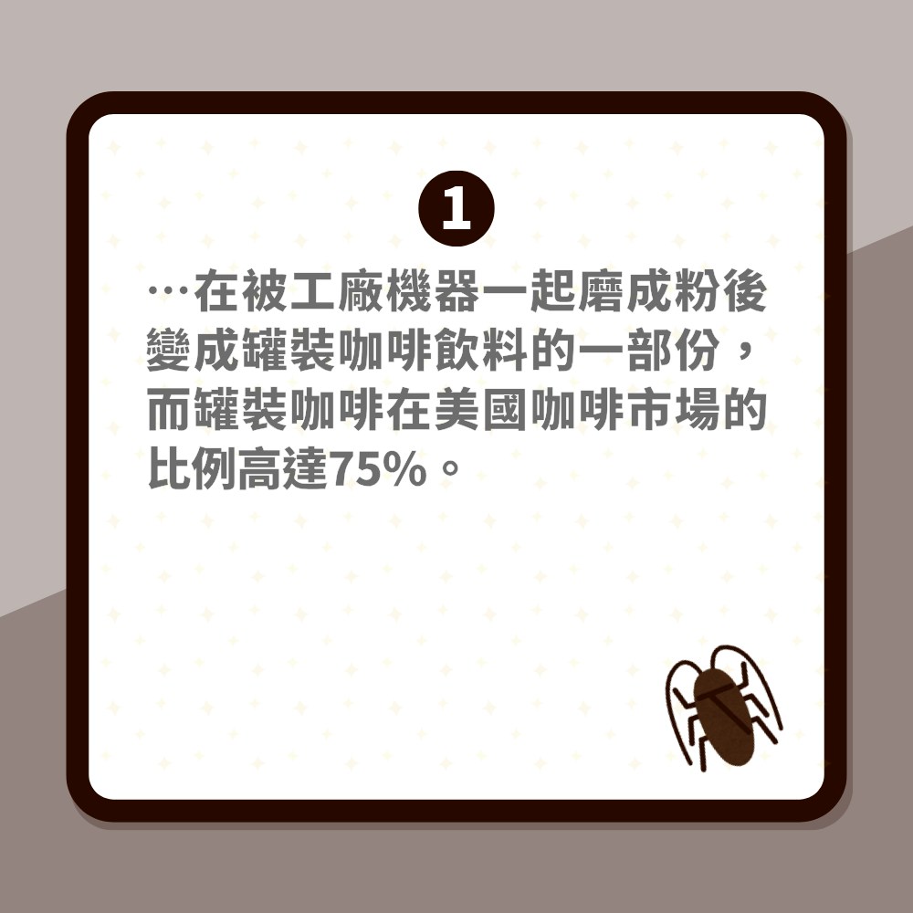 罐裝咖啡藏曱甴粉「原來很常見」美國FDA稱不超過這個比例即可（01製圖）