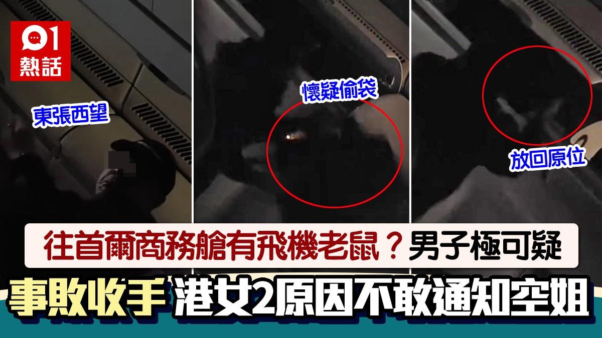 往首爾商務艙有飛機老鼠?男子鬼祟拿袋 港女2原因不敢通知空姐