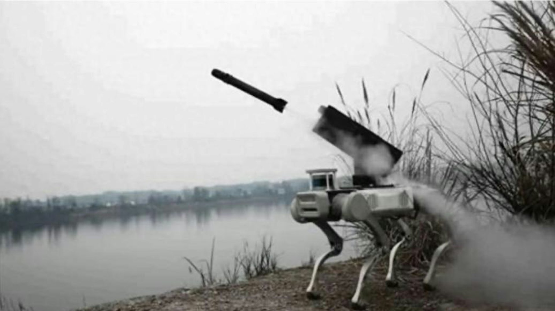 国产机械狗再进化装上微型导弹。 (网上图片)