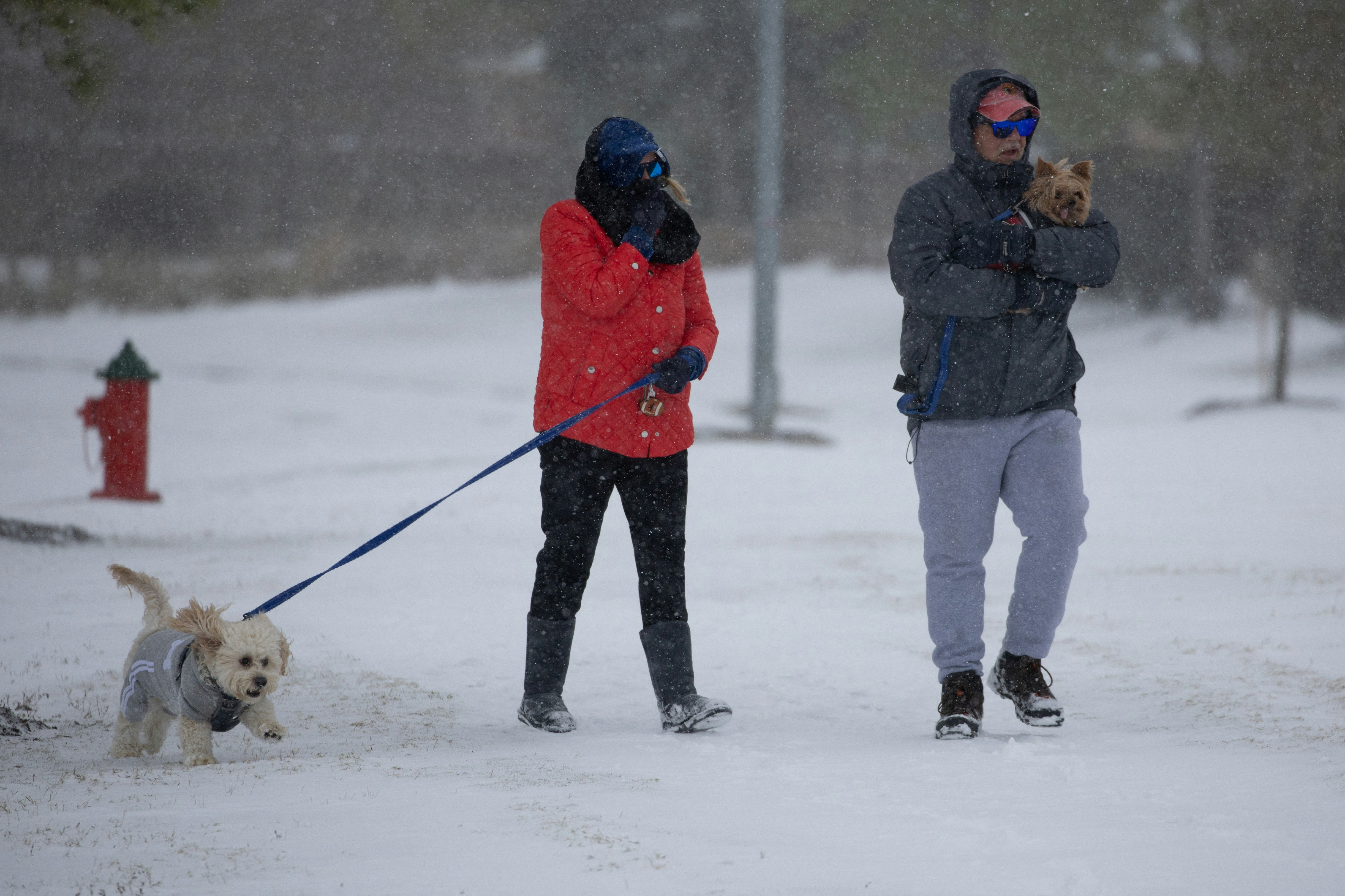美國南部遭冬季風暴吹襲至少10死　多市降雪破紀錄