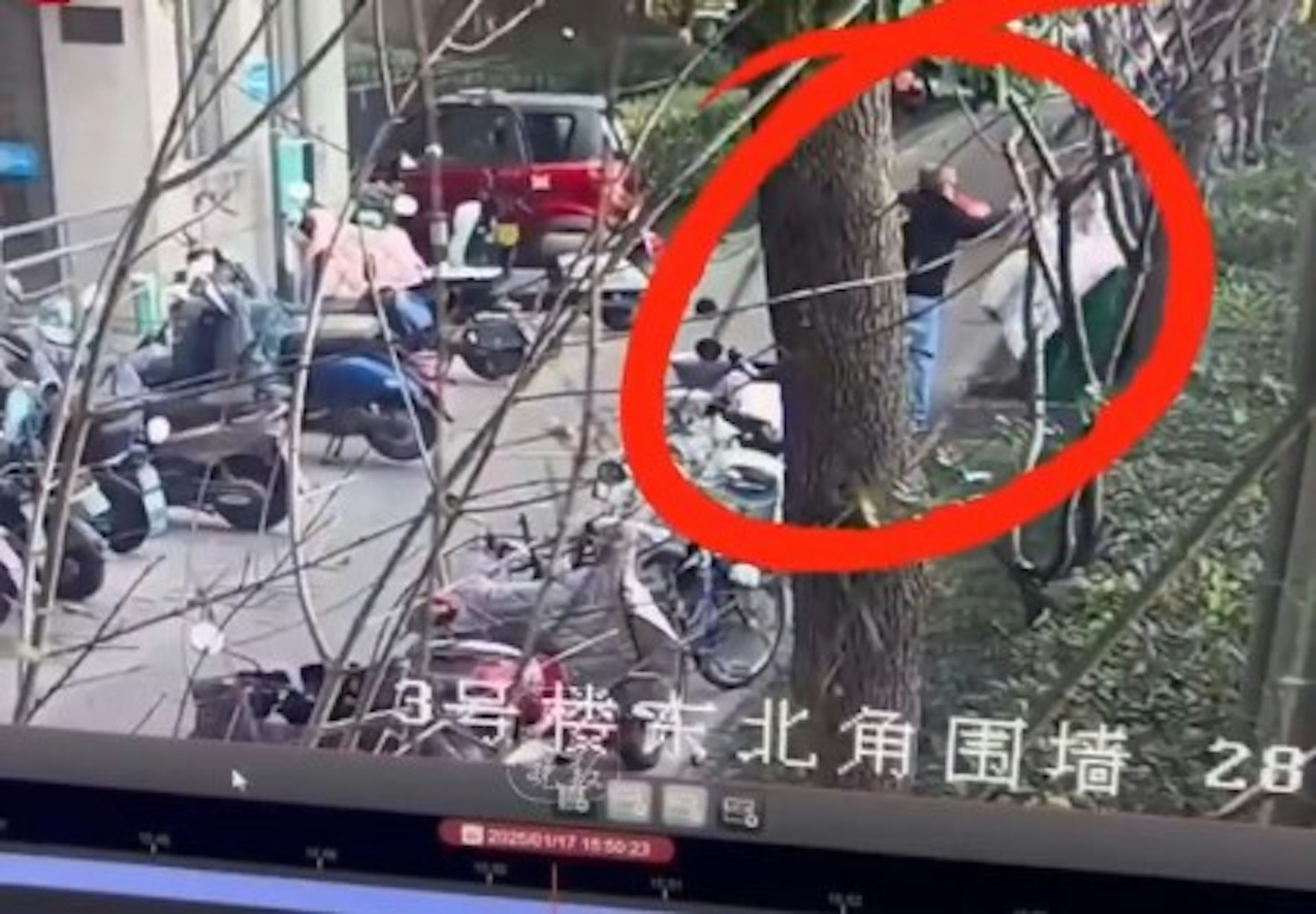 安徽省蕪湖市孫姓老翁被兒子丟掉2張藏了16萬元現金的棉被。(網上影片截圖) 安徽省蕪湖市孫姓老翁被兒子丟掉2張藏了16萬元現金的棉被。(網上影片截圖)