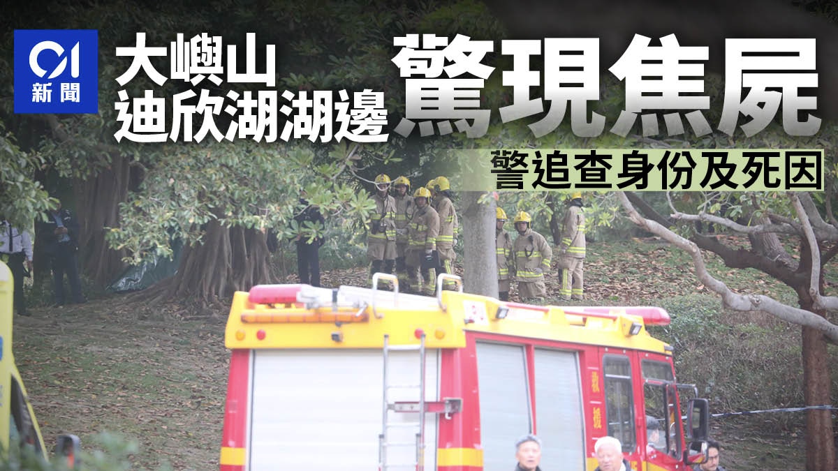 大嶼山迪欣湖岸邊斜坡樹底驚現焦屍　警追查身份及死因
