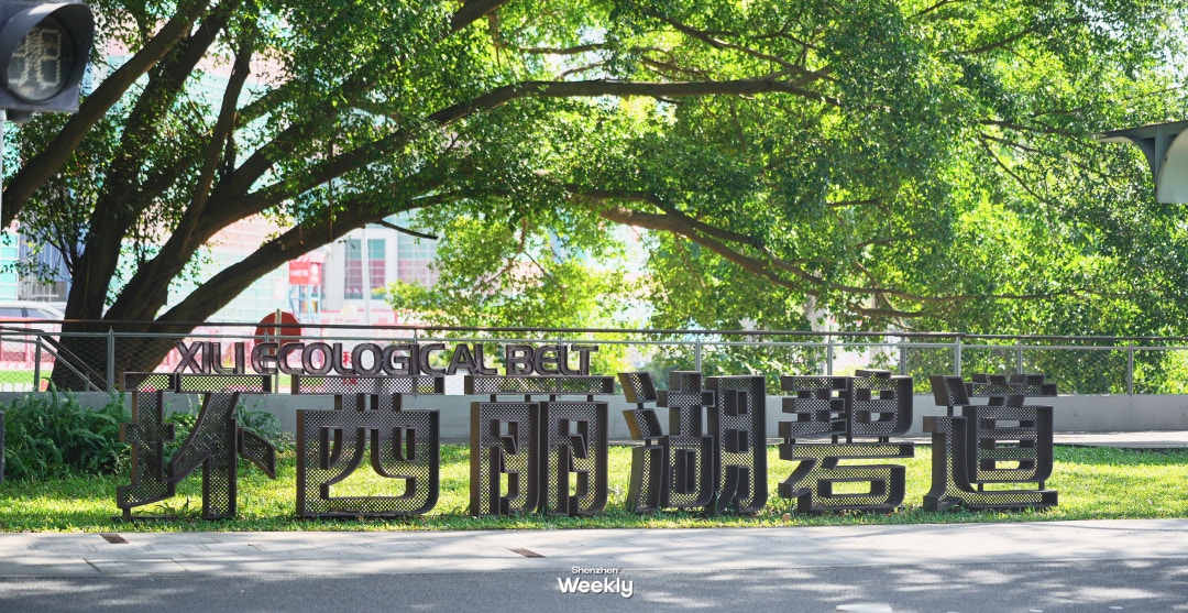 環西麗湖碧道（ShenzhenWeekly提供）