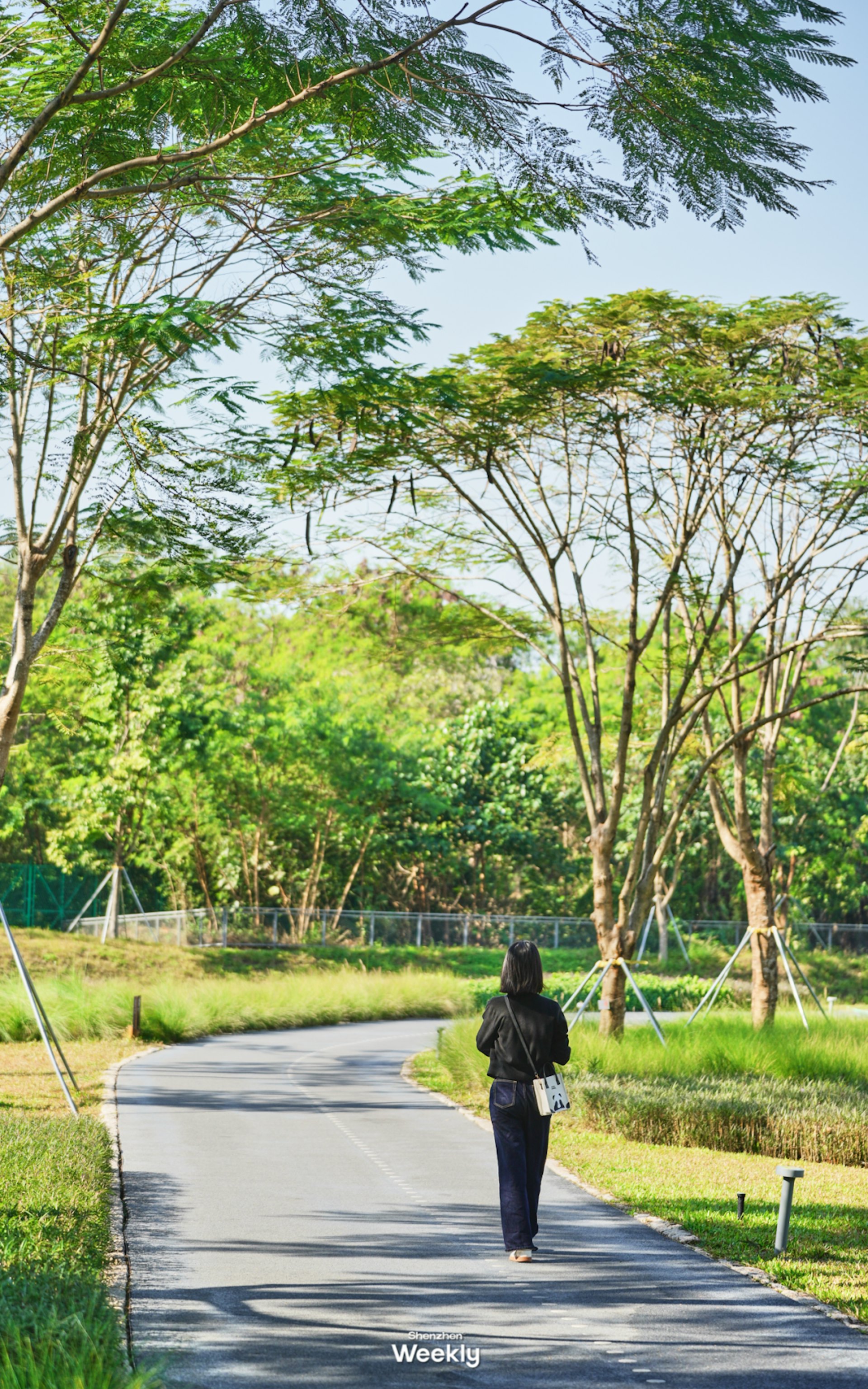 環西麗湖碧道(ShenzhenWeekly提供) 環西麗湖碧道(ShenzhenWeekly提供)
