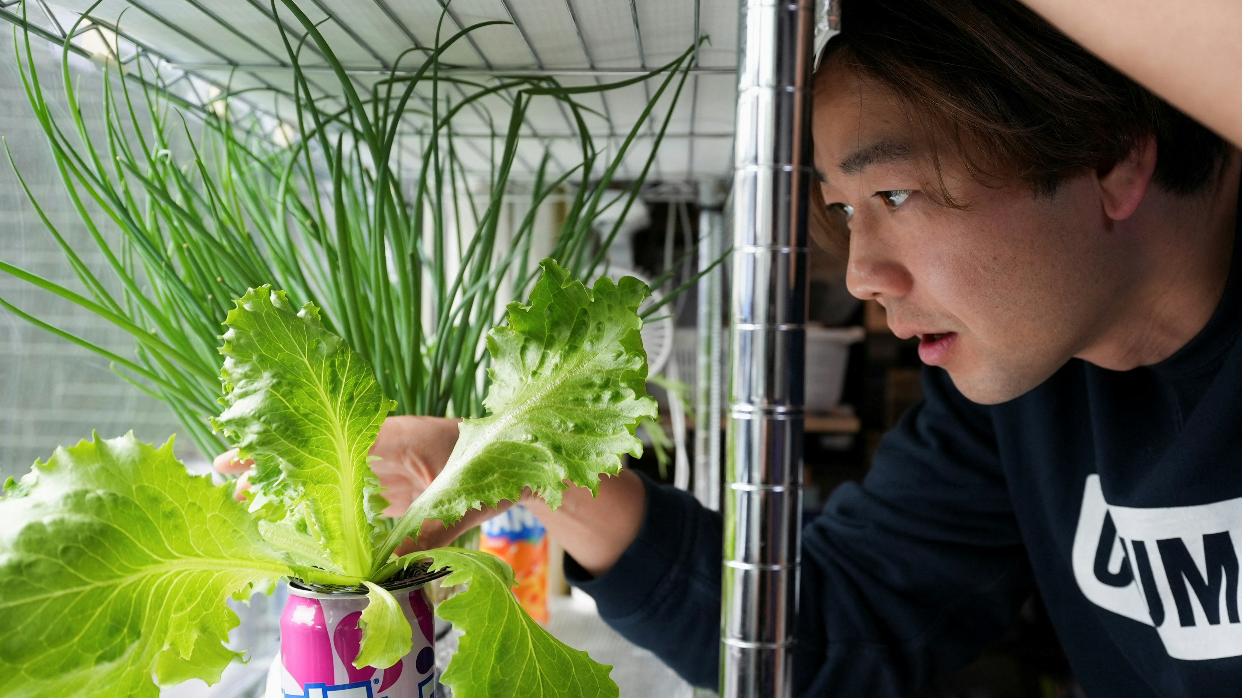 通脹猛於虎？ 日本多種農產品價格暴漲東京民眾自家種菜應對