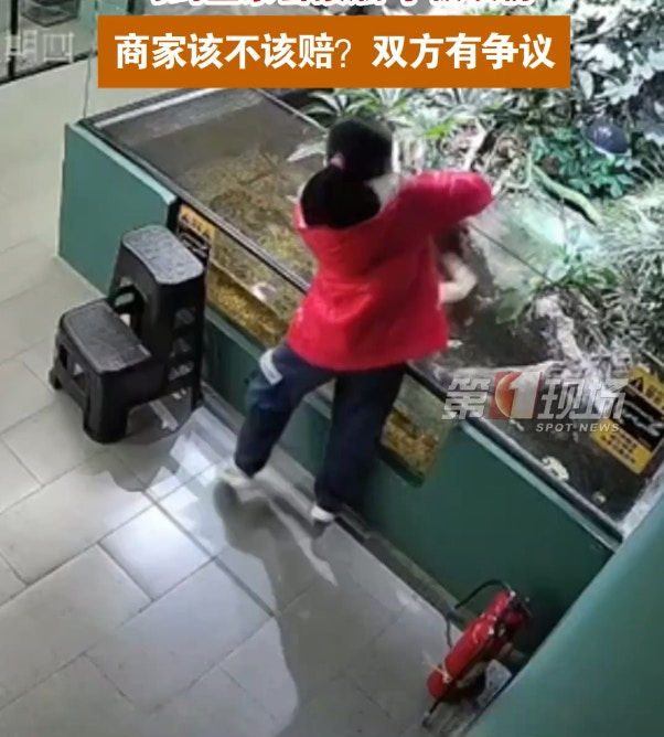女童好奇伸手進池中，不料遭到鱷魚猛然跳起狠咬。（影片截圖）
