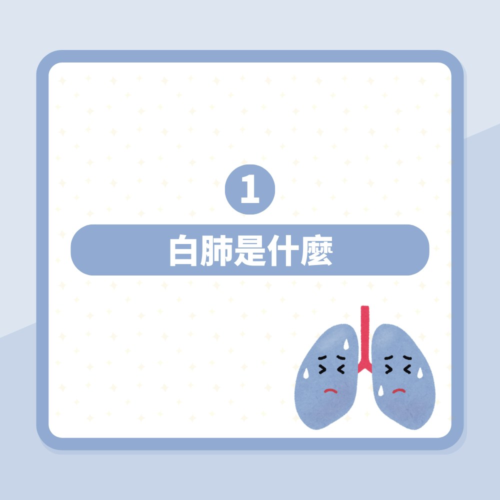 大S徐熙媛流感肺炎去世｜台醫揭「白肺」可怕之處：被痰活活淹死（01製圖）